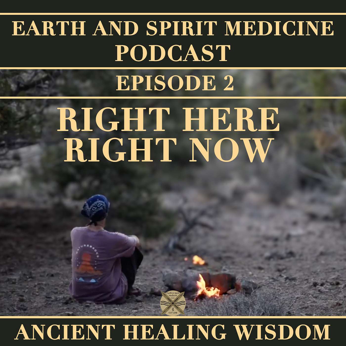 Earth and Spirit Medicine Ancient Healing Wisdom