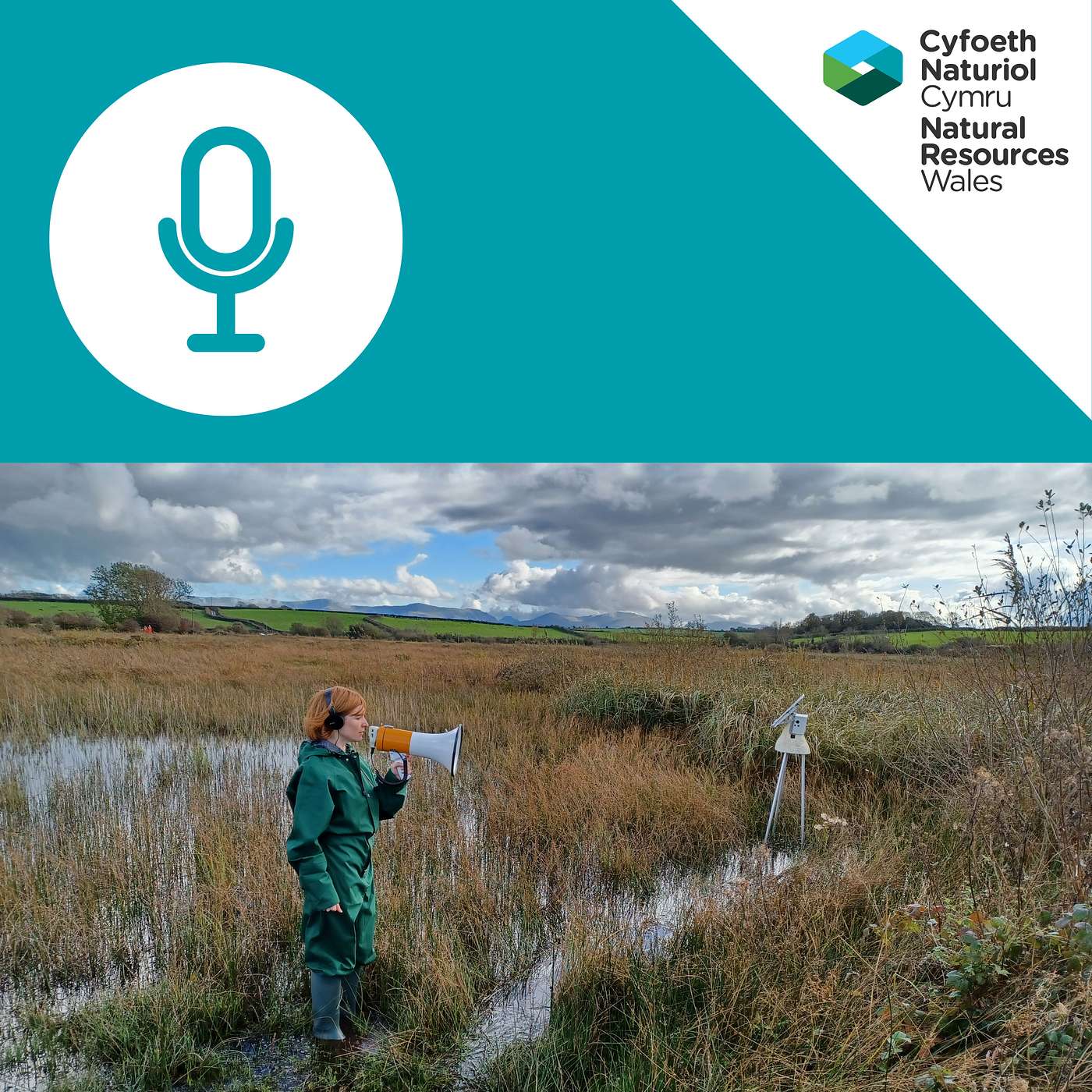 Cyfoeth: Podlediad Amgylchedd Cyfoeth Naturiol Cymru