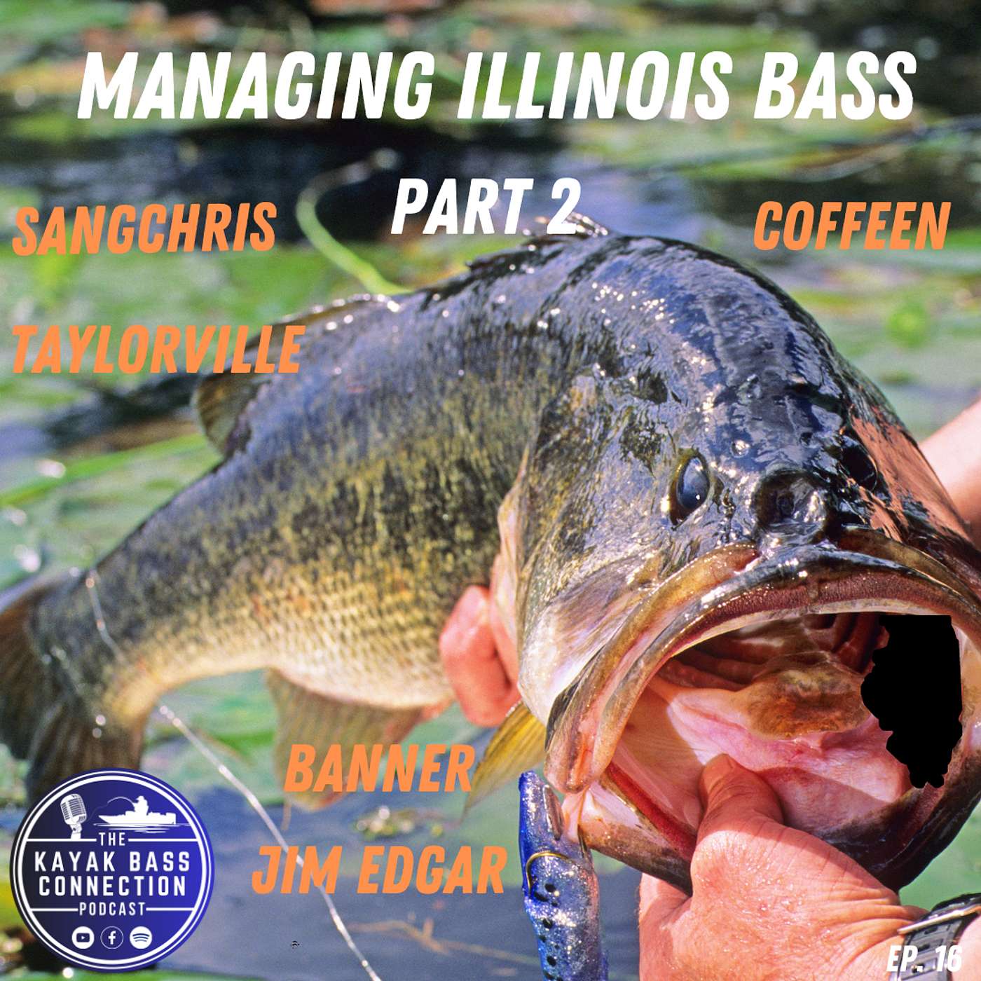 Kayak Bass Connection