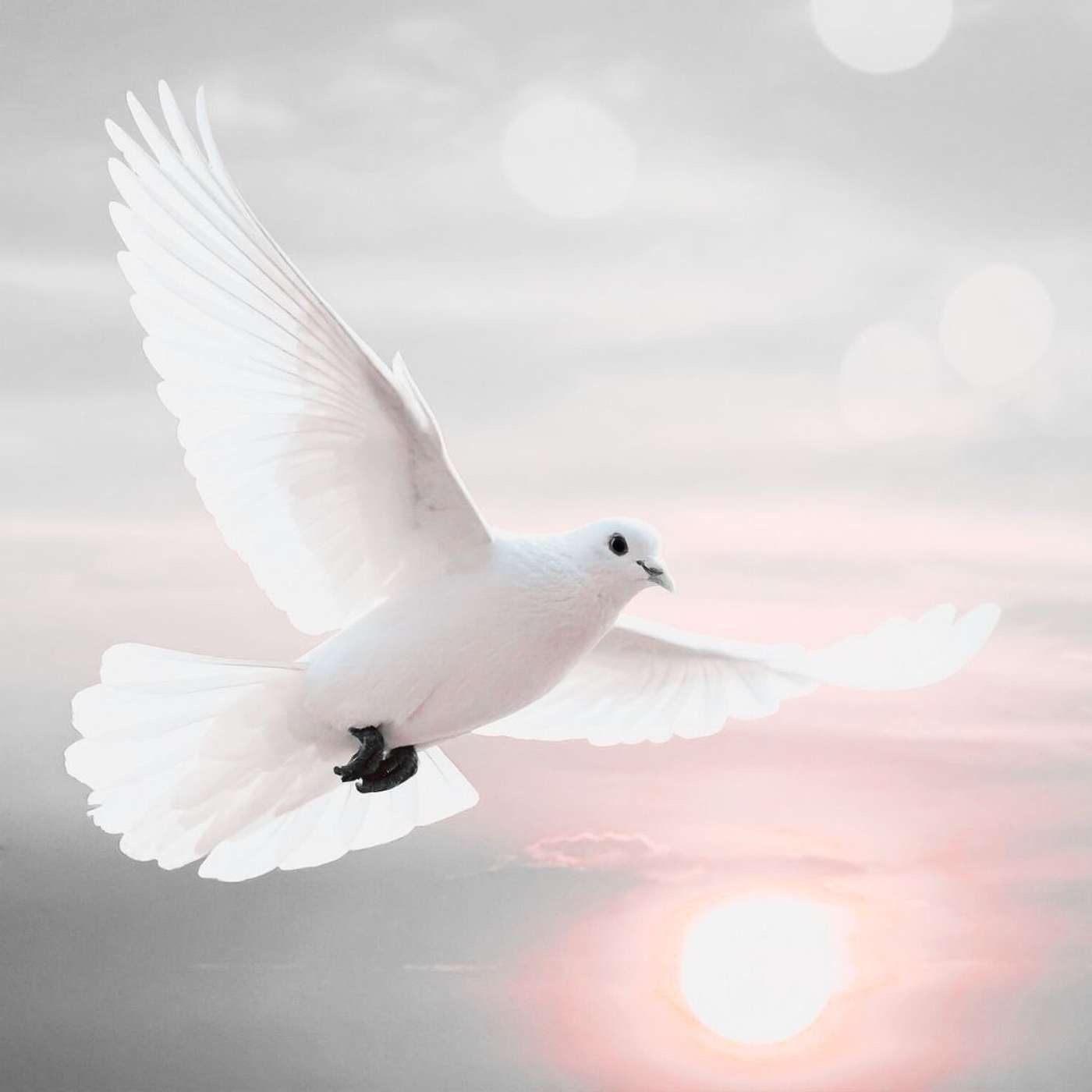 Stop Blaming Yourself And Start Releasing What No Longer Fits