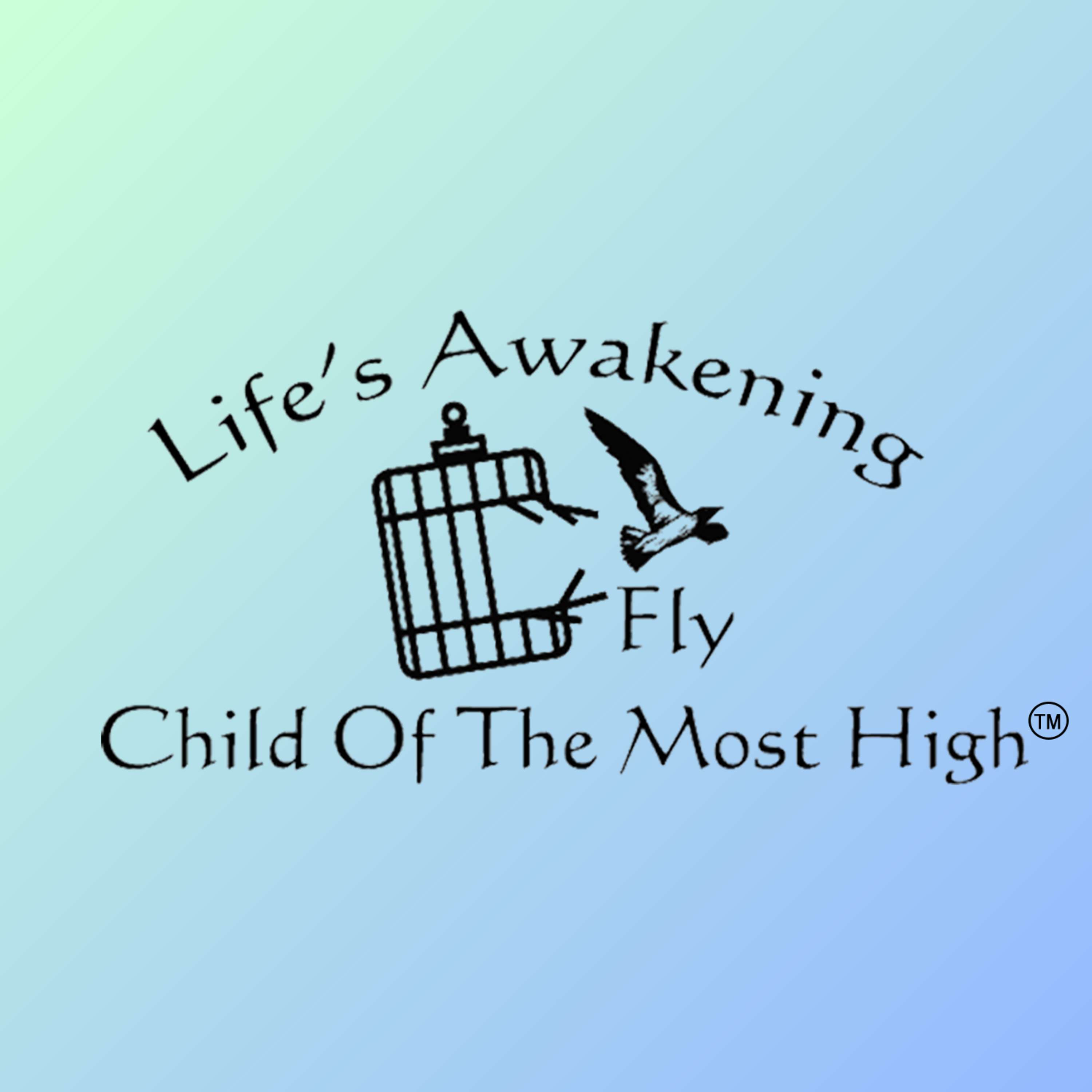 Life's Awaken | Fly Child of the Most High podcast artwork