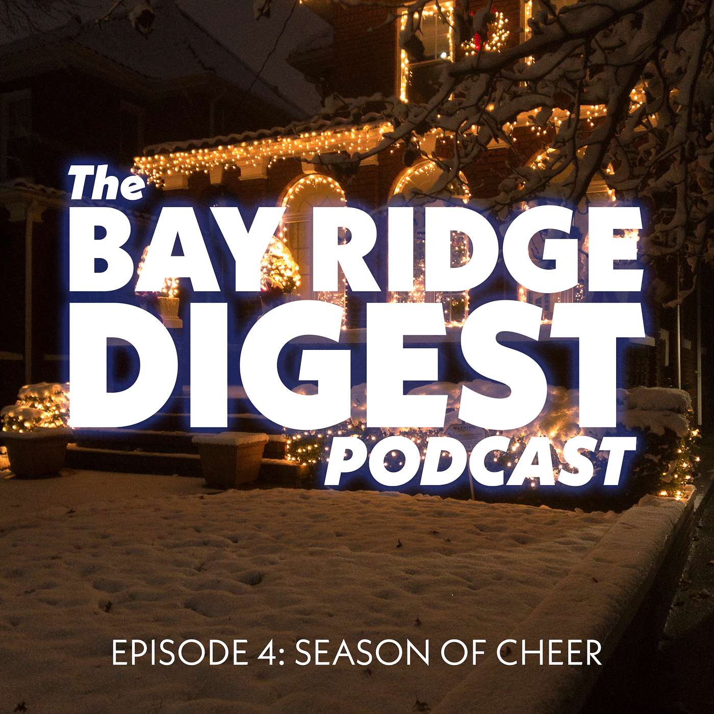 The Bay Ridge Digest
