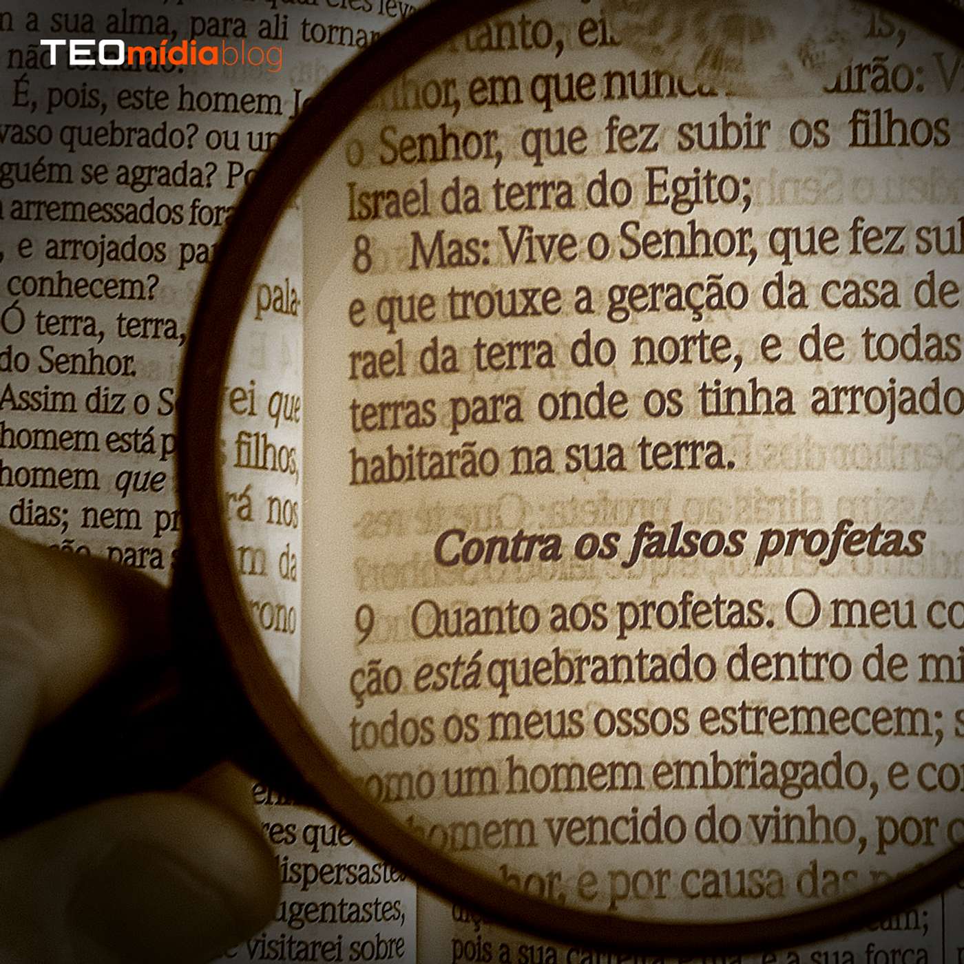 TEOmídia Blog