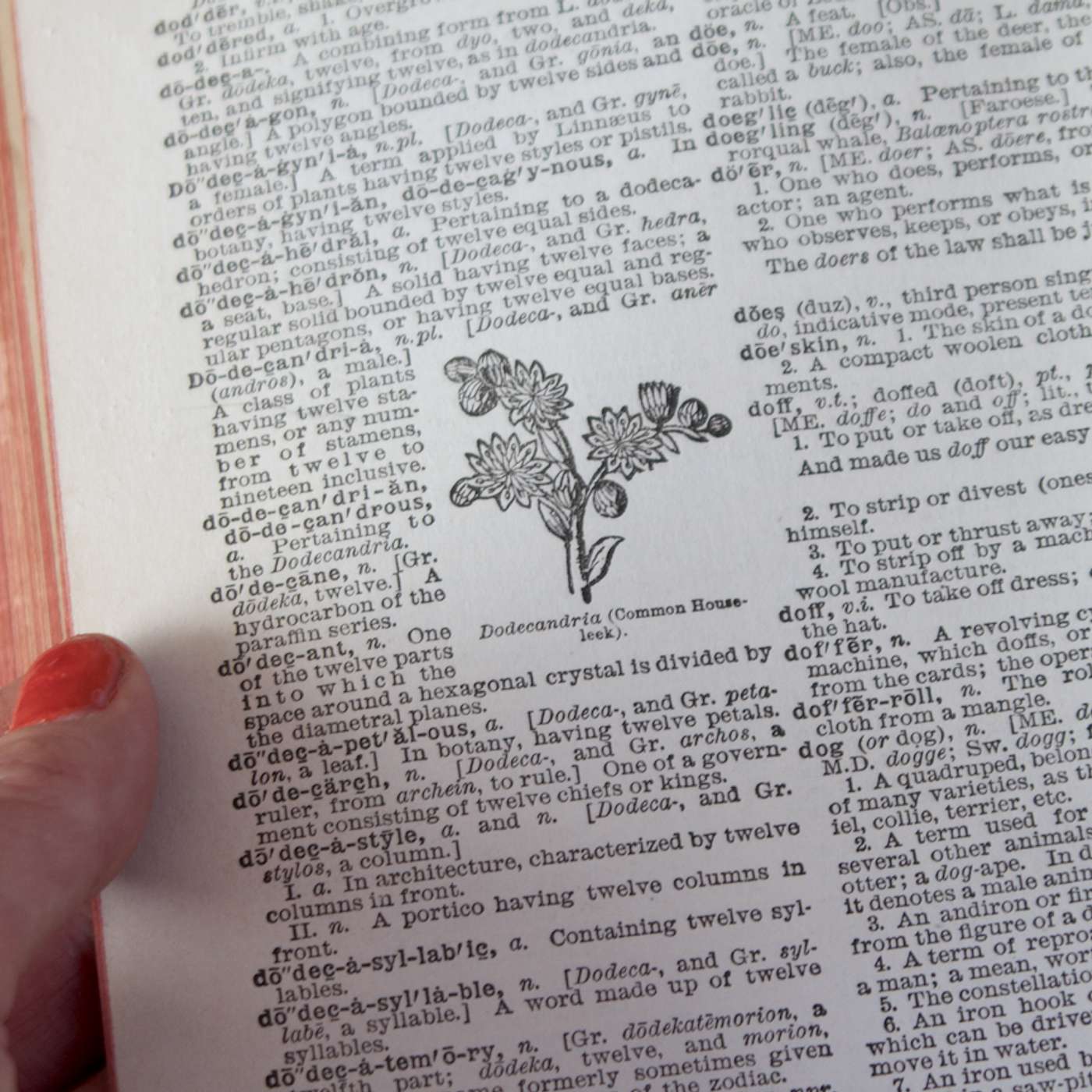 Clepsydra Corbiculate