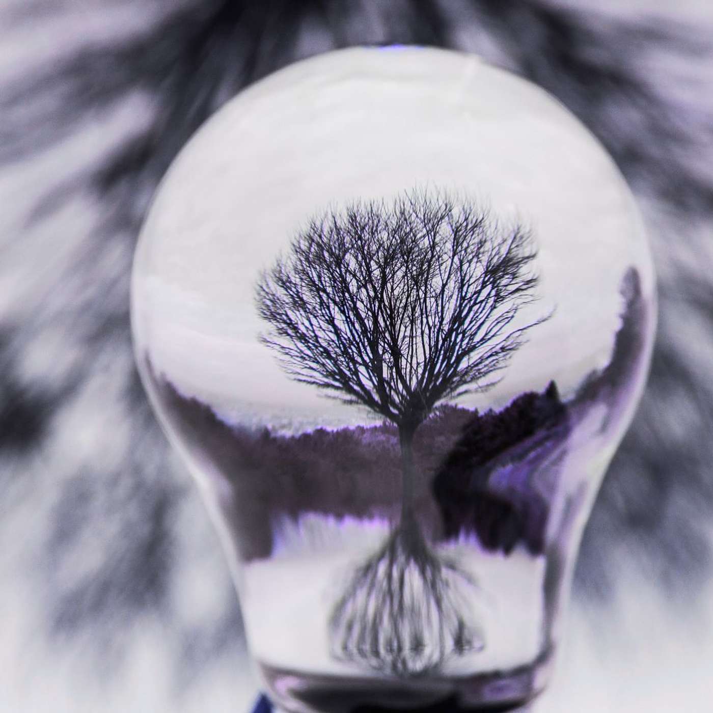 How the Assumptions You’re Making Are Shaping Your Life ✨