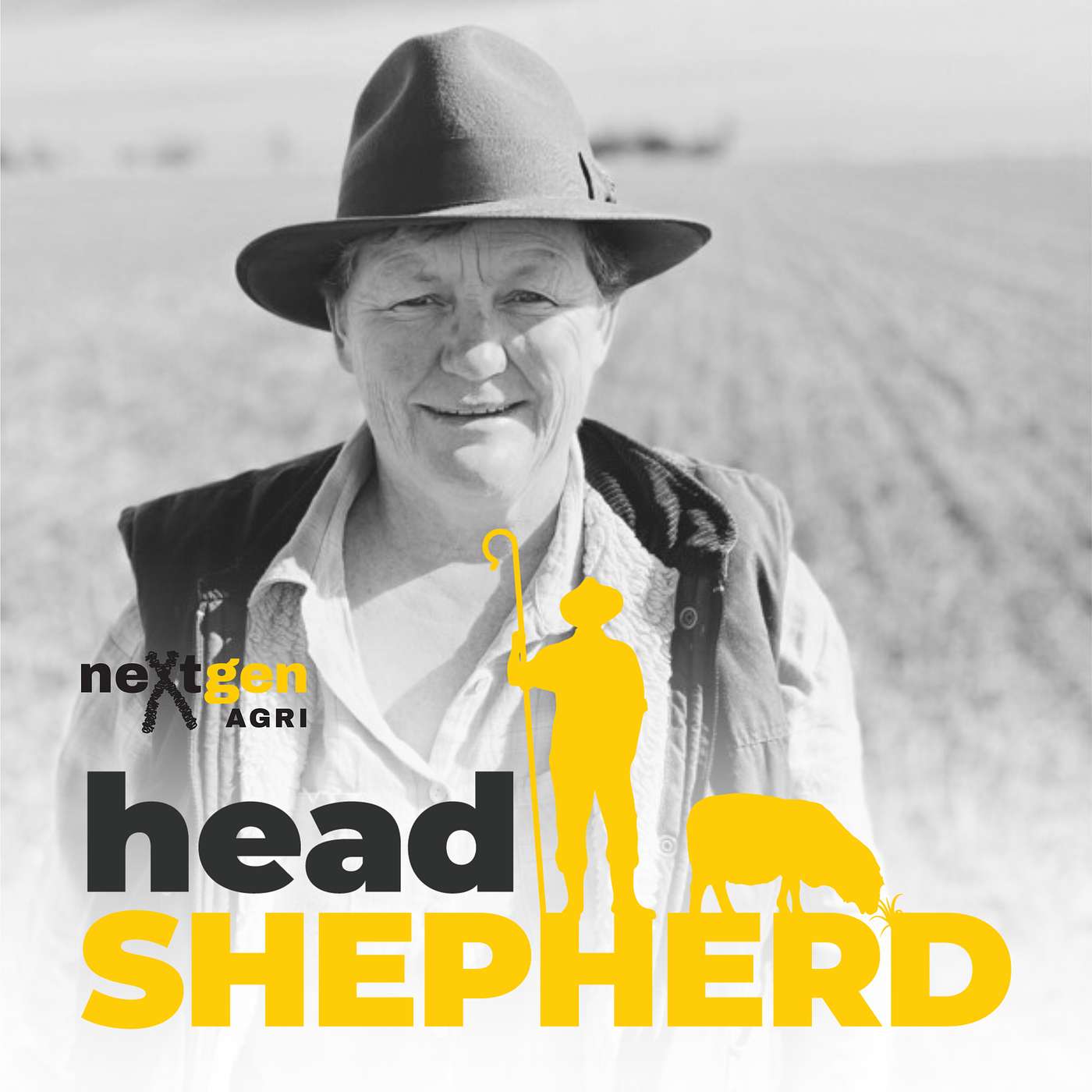 Connecting the dots of science, people and money with Kate Burke