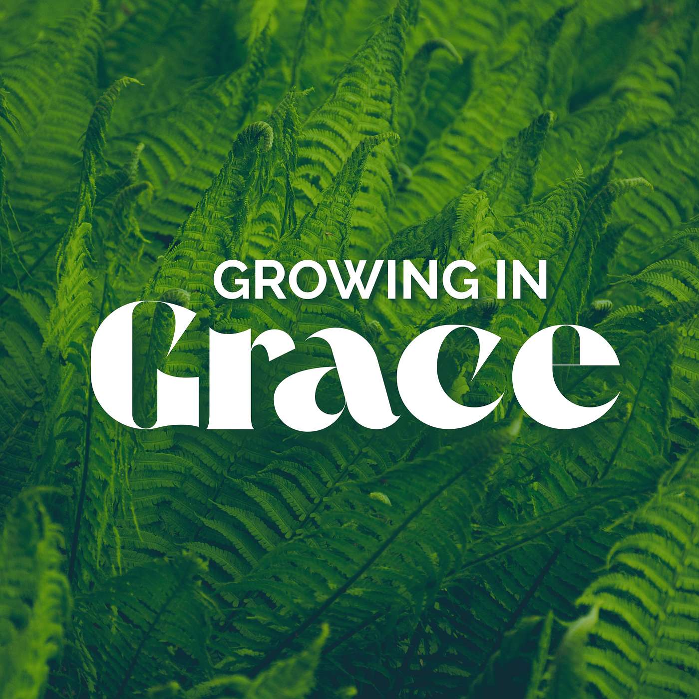 Growing In Grace: Part Two 🌱 Growing In Grace: Part Two 🌱