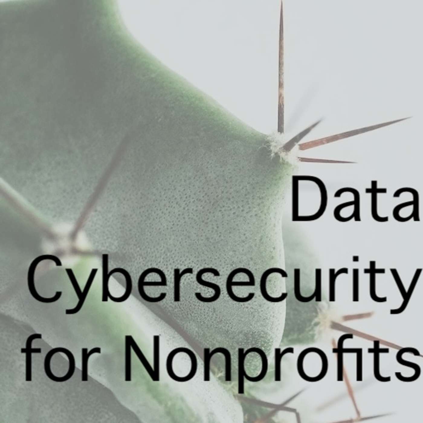 Data Cybersecurity for Nonprofits pt 2