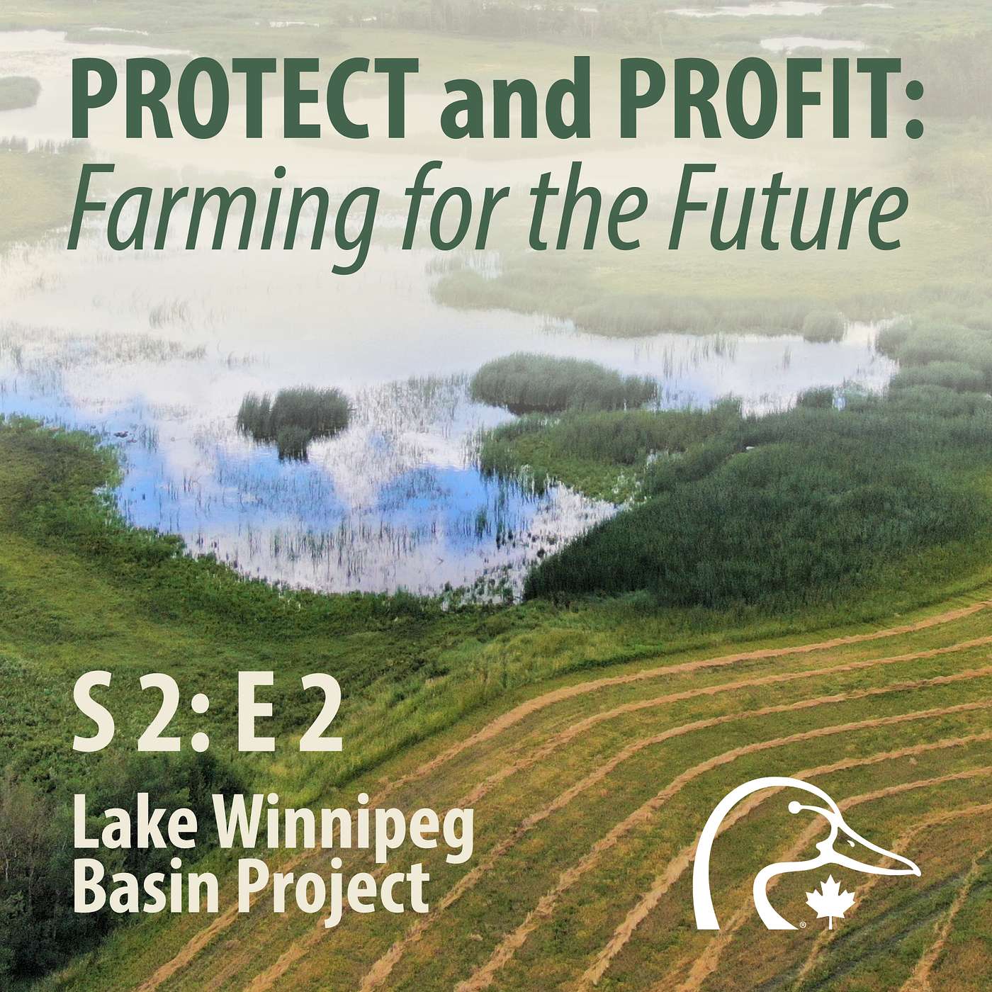 2025 05 May - Lake Winnipeg Basin Program episode artwork