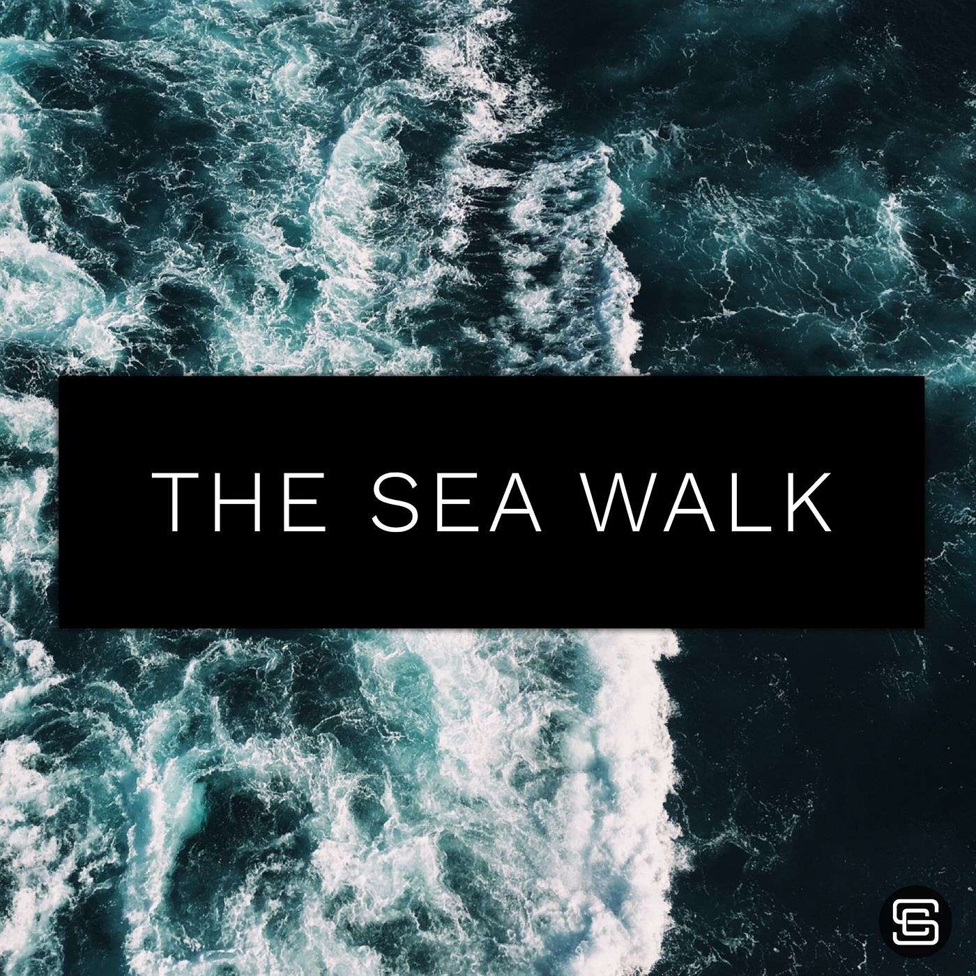 Night Vision | THE SEA WALK