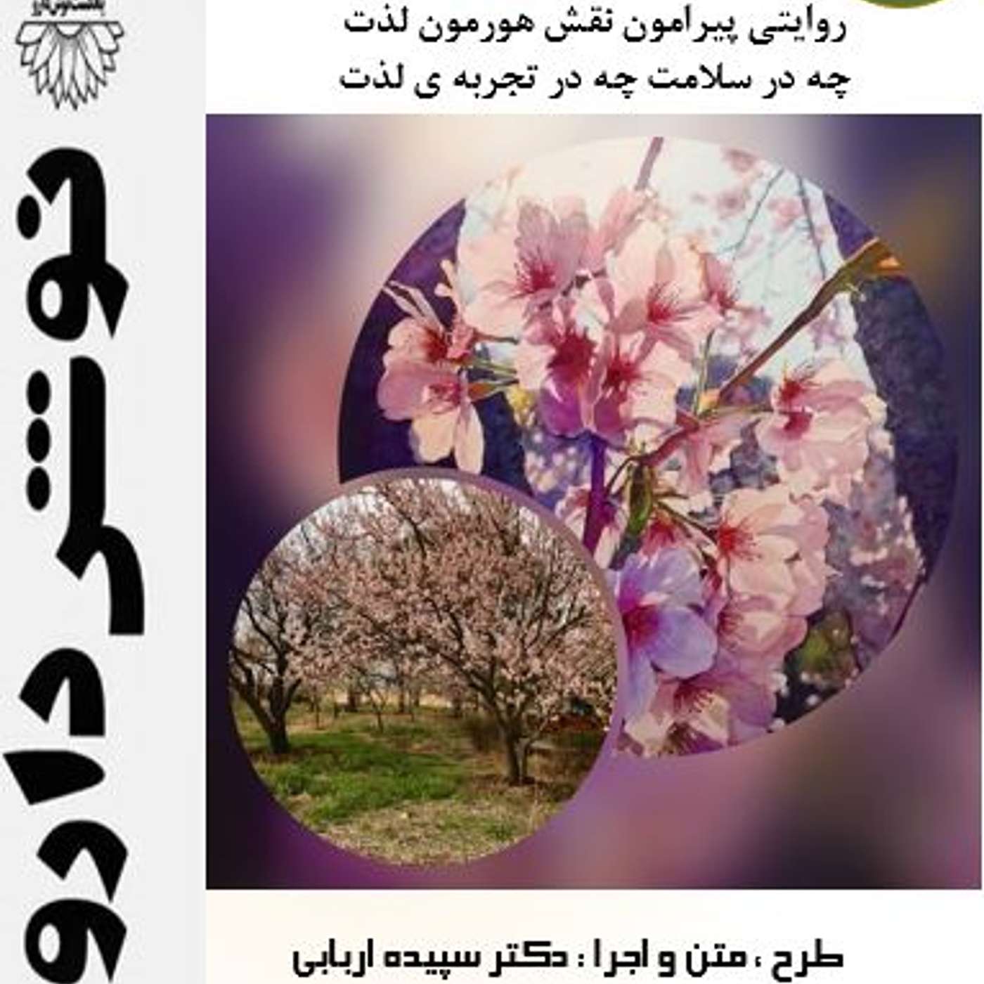شادی یا لذت ؟