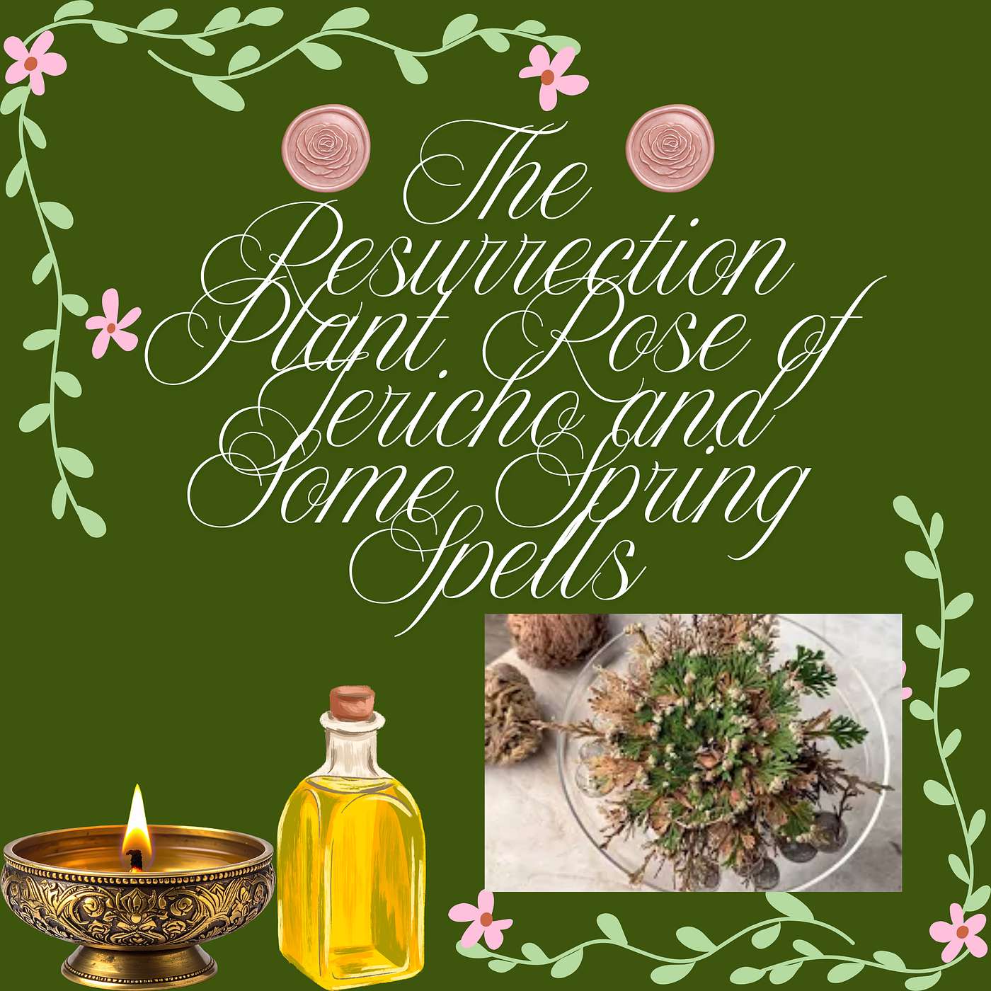 The Resurrection Plant Rose of Jericho and some Spring Spells episode artwork