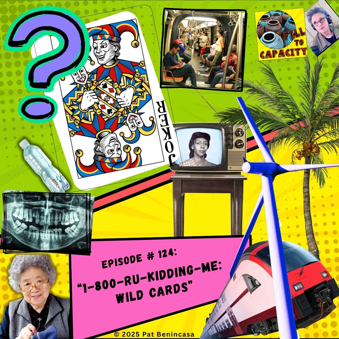 1-800-RU-Kidding-Me: Wild Cards