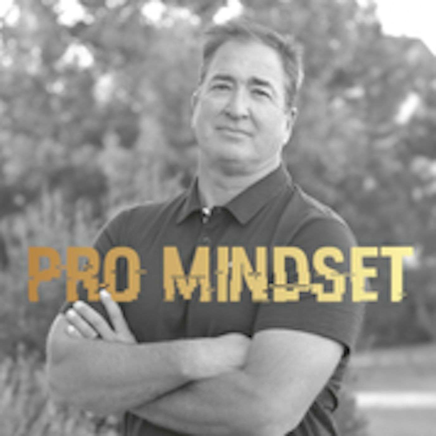 Pro Mindset® Podcast