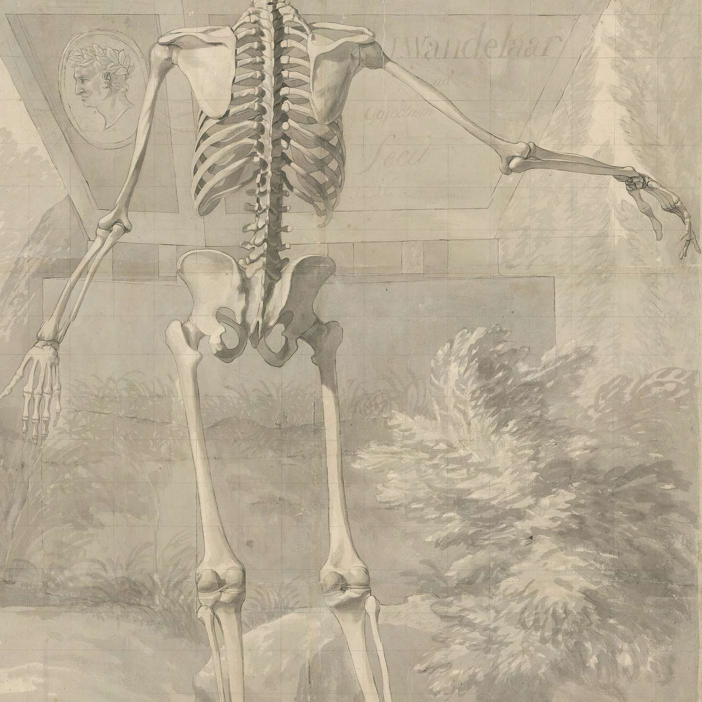 Is Chiropractic Scientific?
