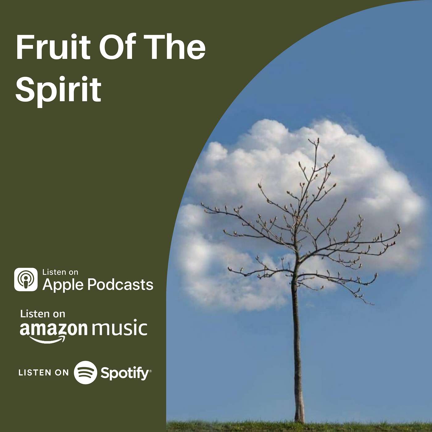 Fruit Of The Spirit