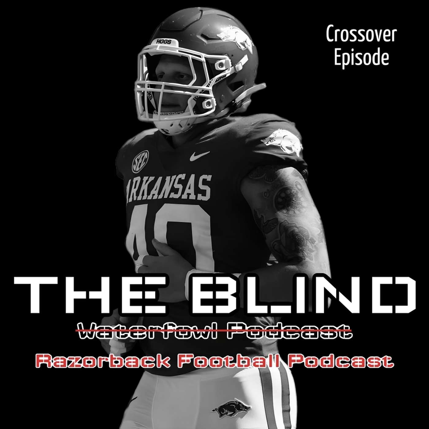The Blind: Waterfowl Podcast