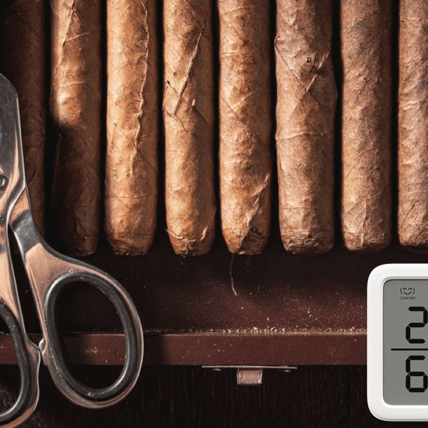 Product Insights podcast