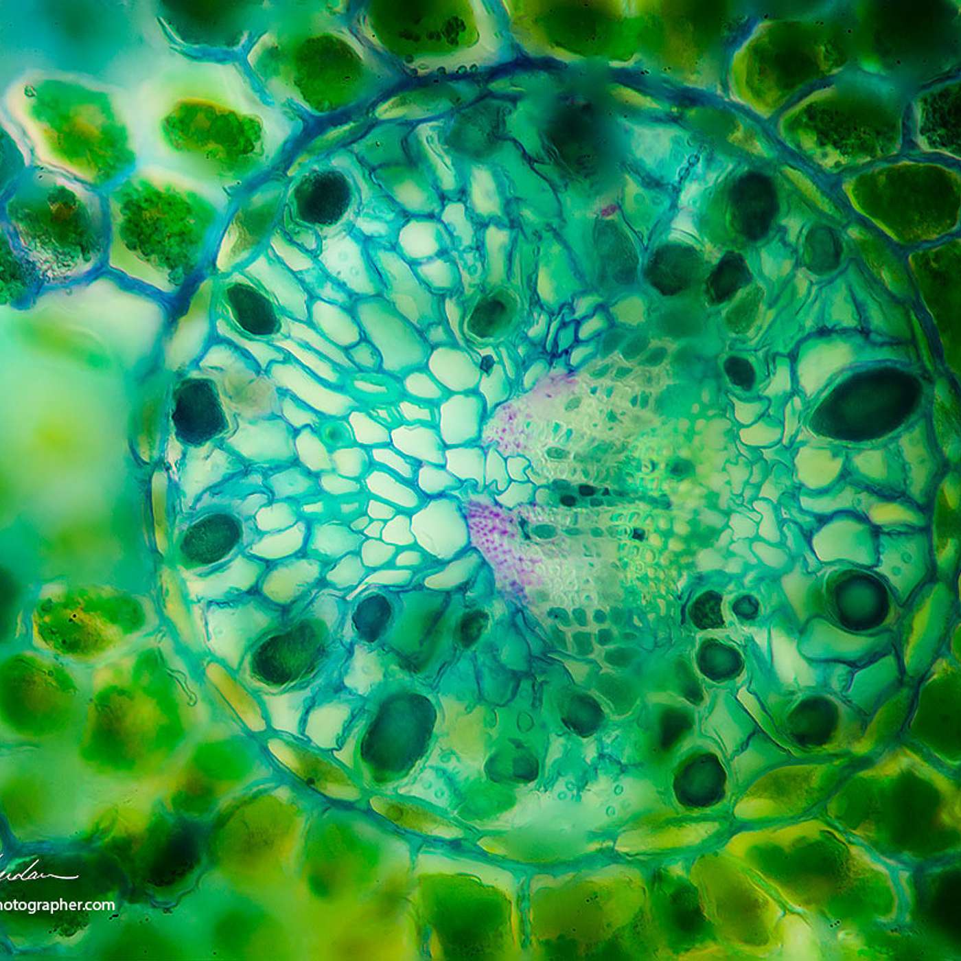 Conscious Living Conscious Dying 09 - Life - Meaning - Your Defining Beliefs & How To Change Them