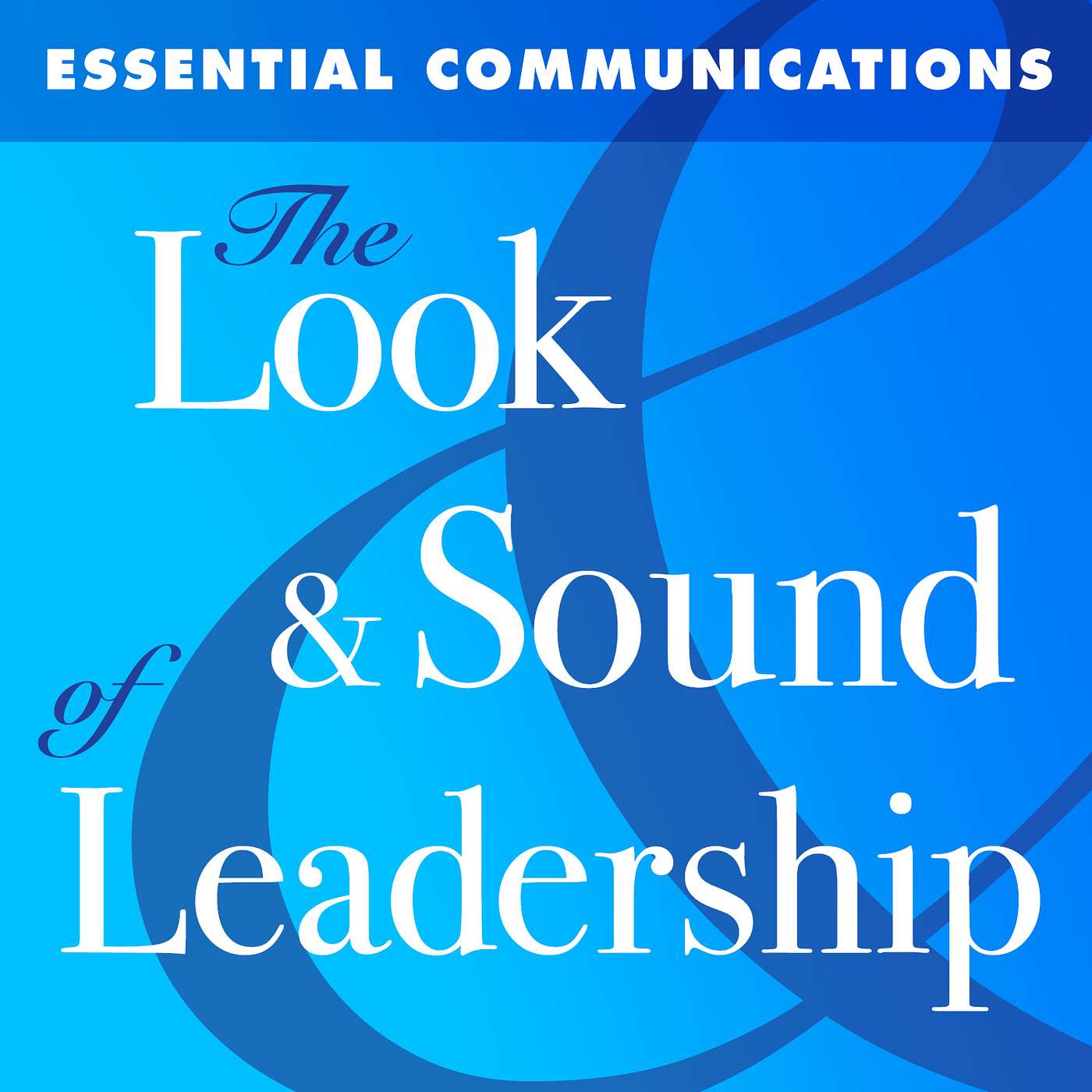 The Look & Sound of Leadership