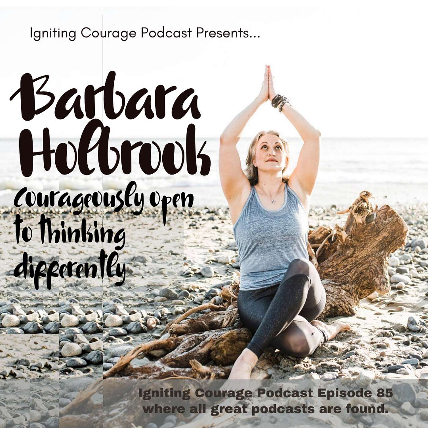 IGNITING COURAGE Podcast Episode 85: Barb Holbrook, Courageously open to thinking differently episode artwork