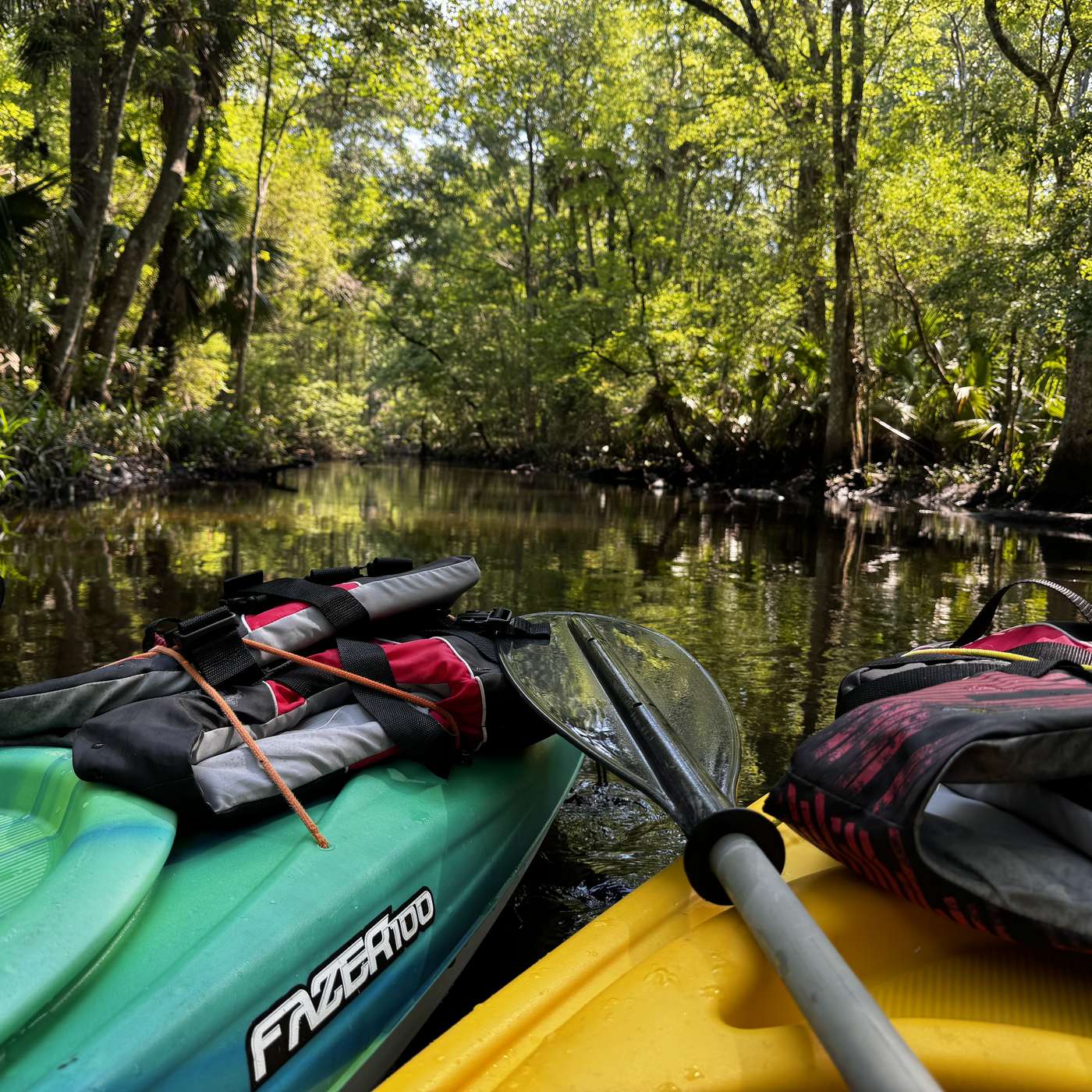 Episode 275: Florida Spectacular: Florida Fish and Wildlife Conservation Commission's Most Wanted episode artwork