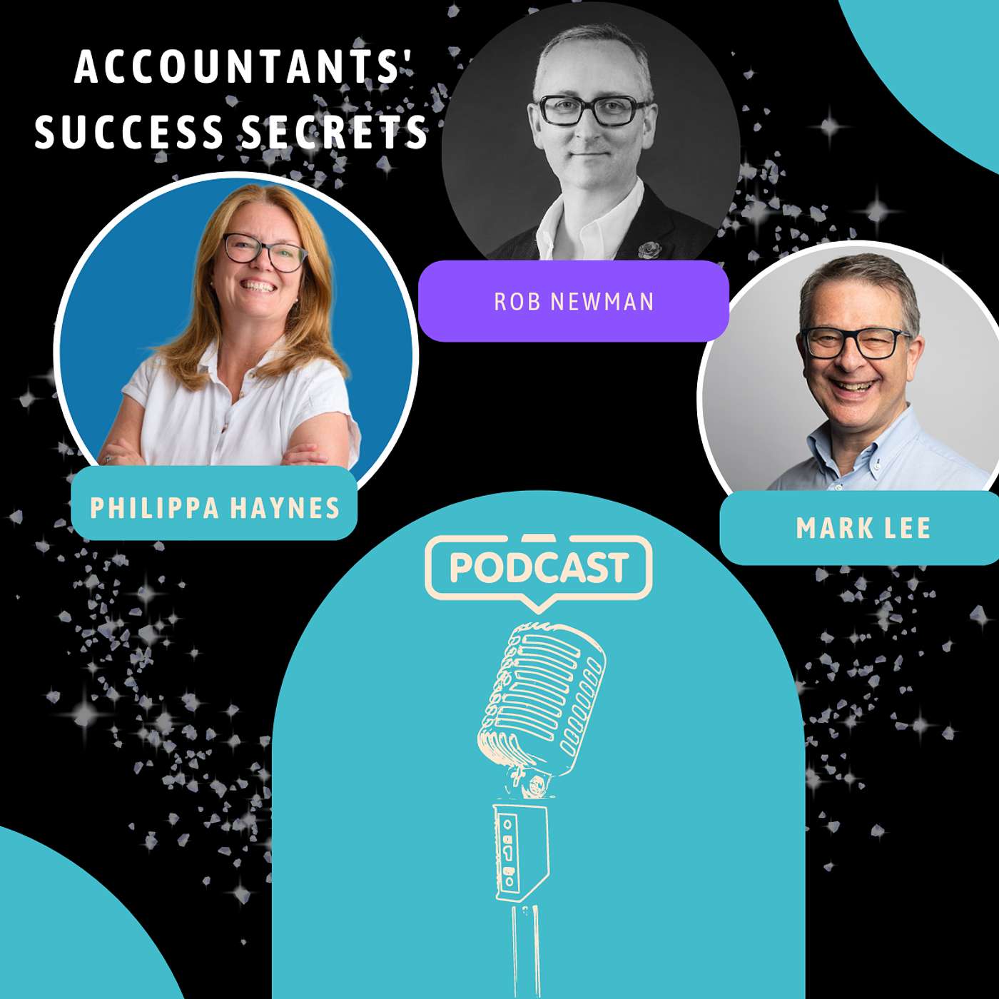 Accountants\' Success Secrets