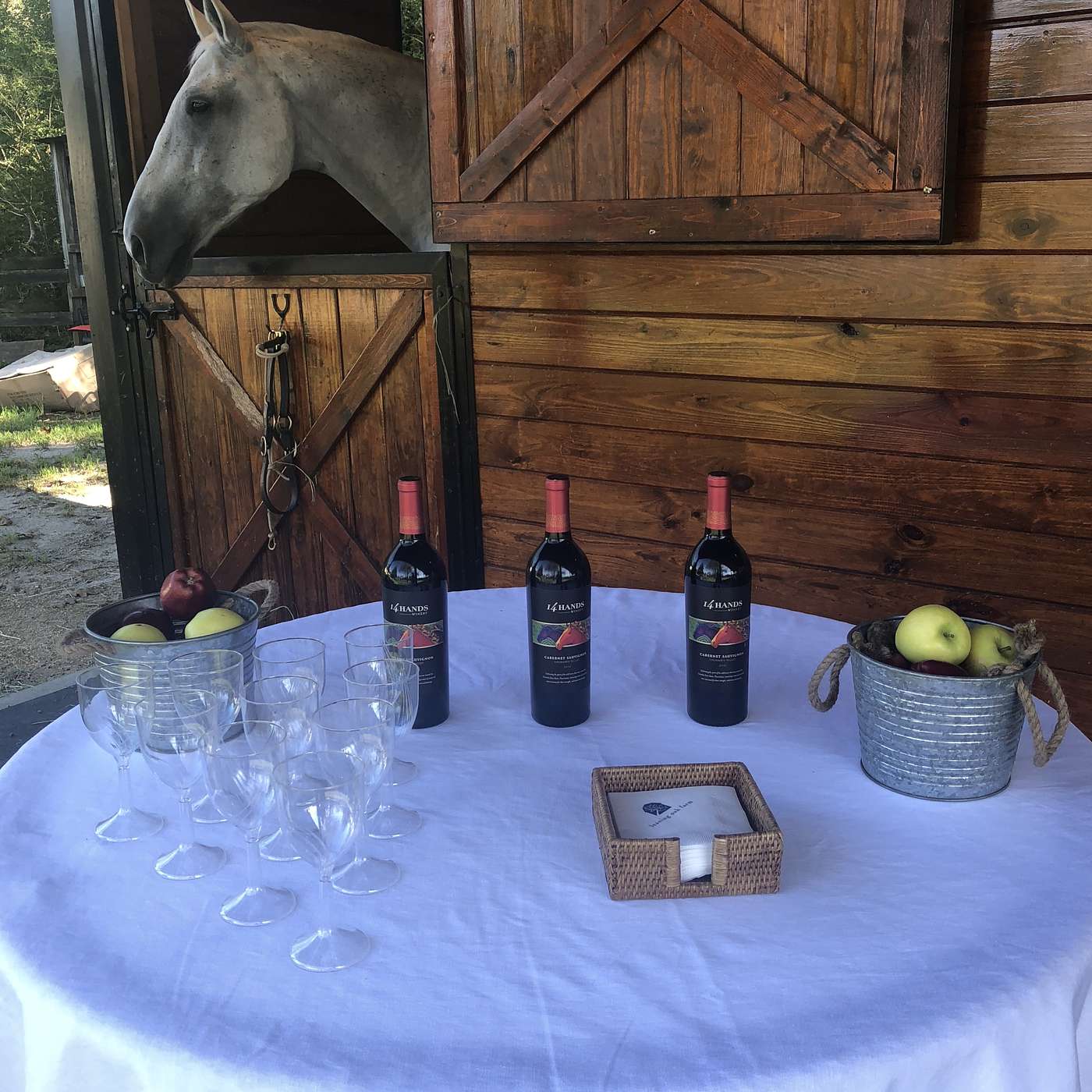 Episode 30: Pain, Pressure & Partying—A Recipe for A Circuit Addiction