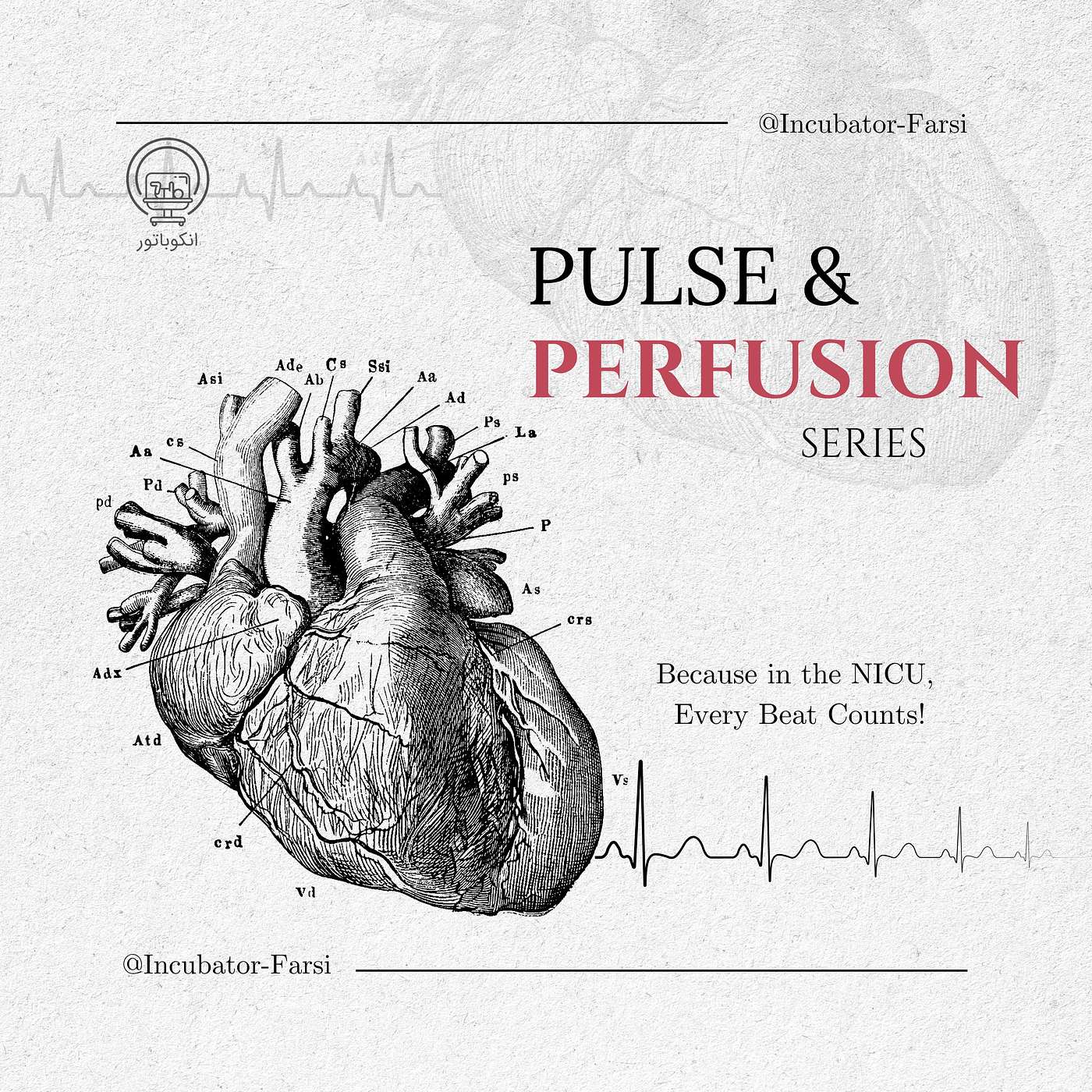 Pulse and Perfusion series - part 2 - PDA management - Dr Amir Ashrafi
