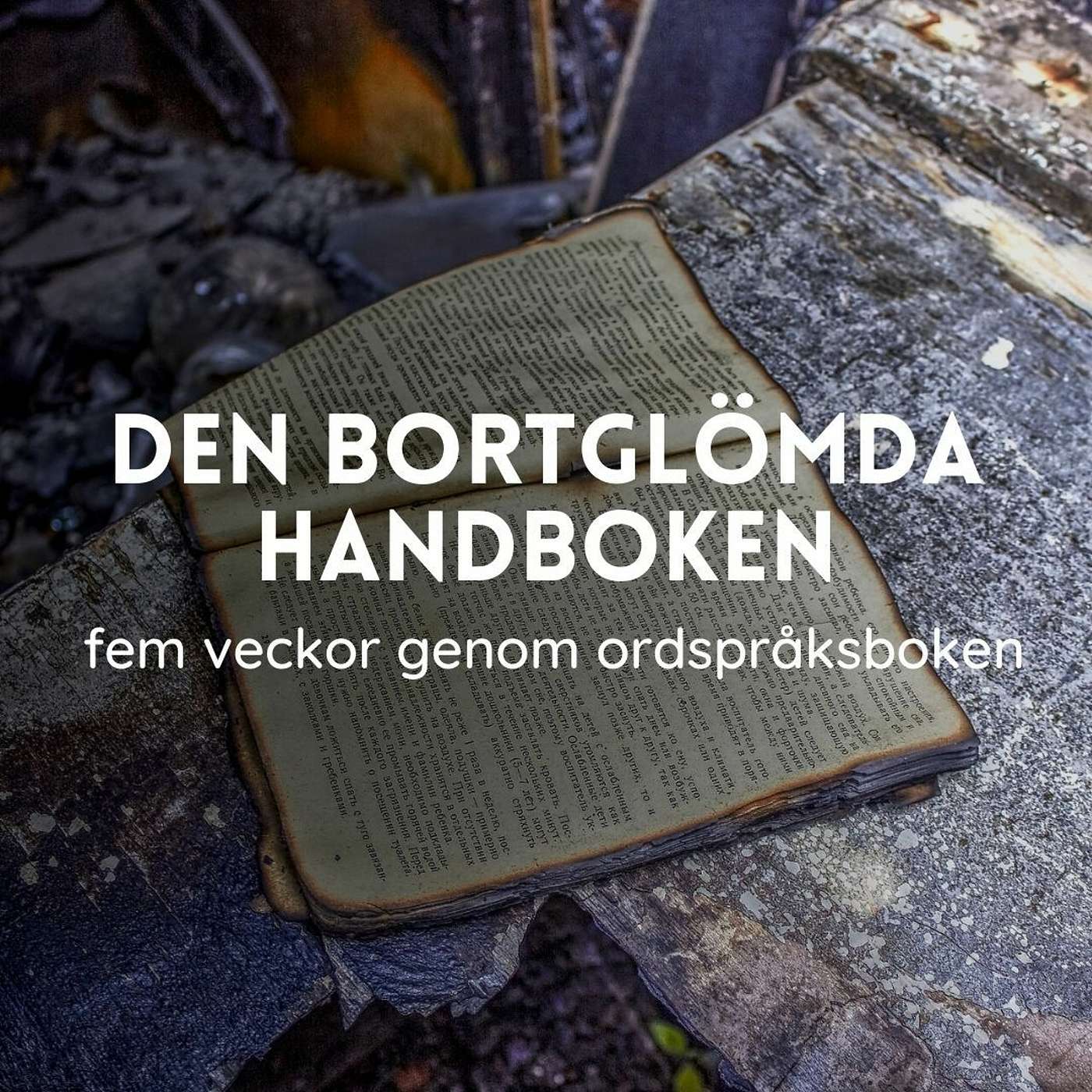 Missionskyrkan Vännäs