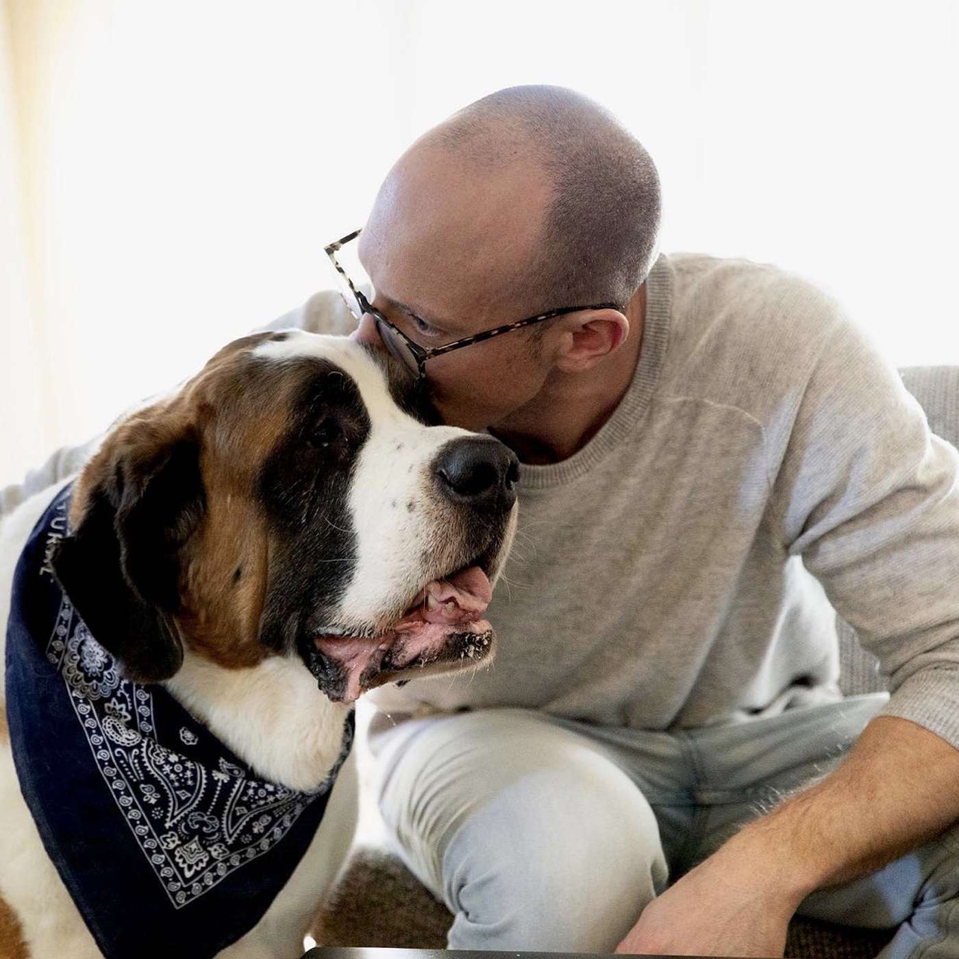 The Baroo: A Podcast for Dogs and Their People