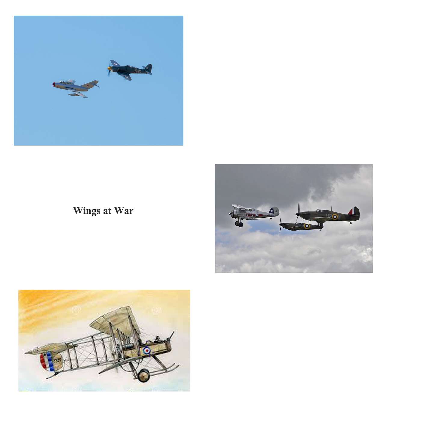 Wings at War