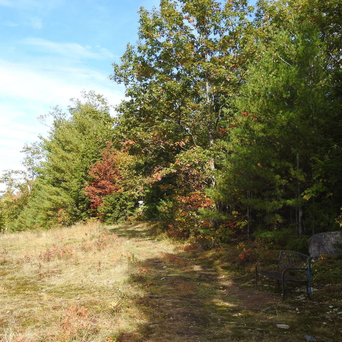 WALKING THE TRAIL