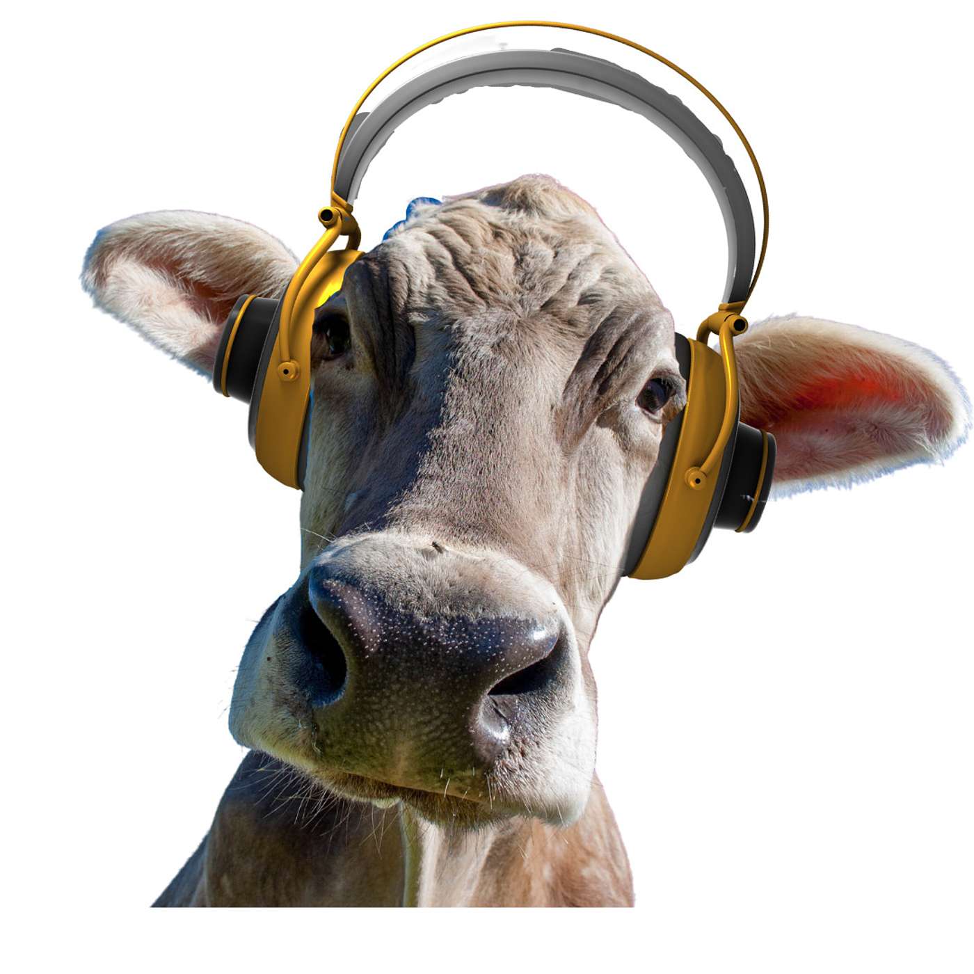 The Herd Nerdz