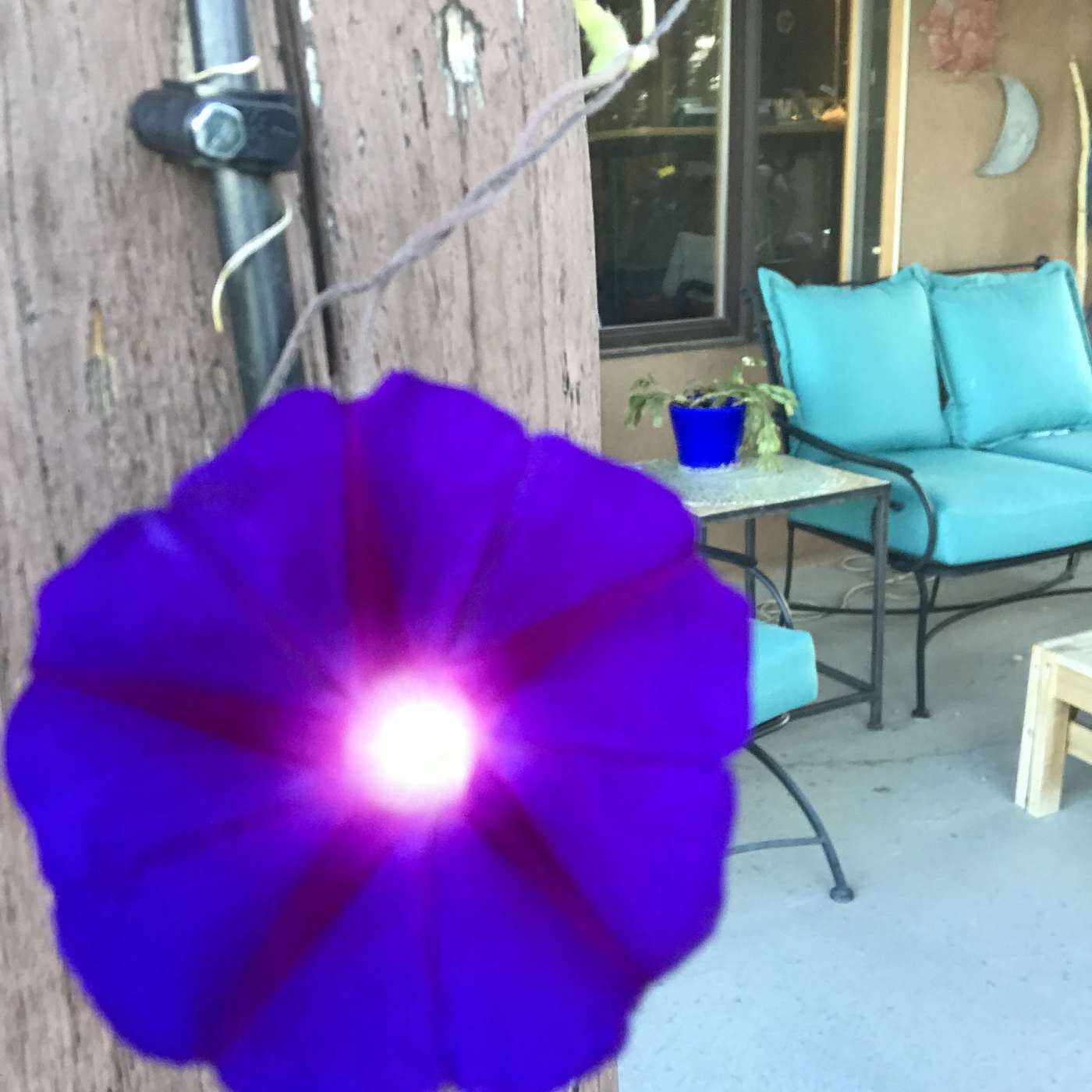 First Cup of Coffee - September 10, 2018