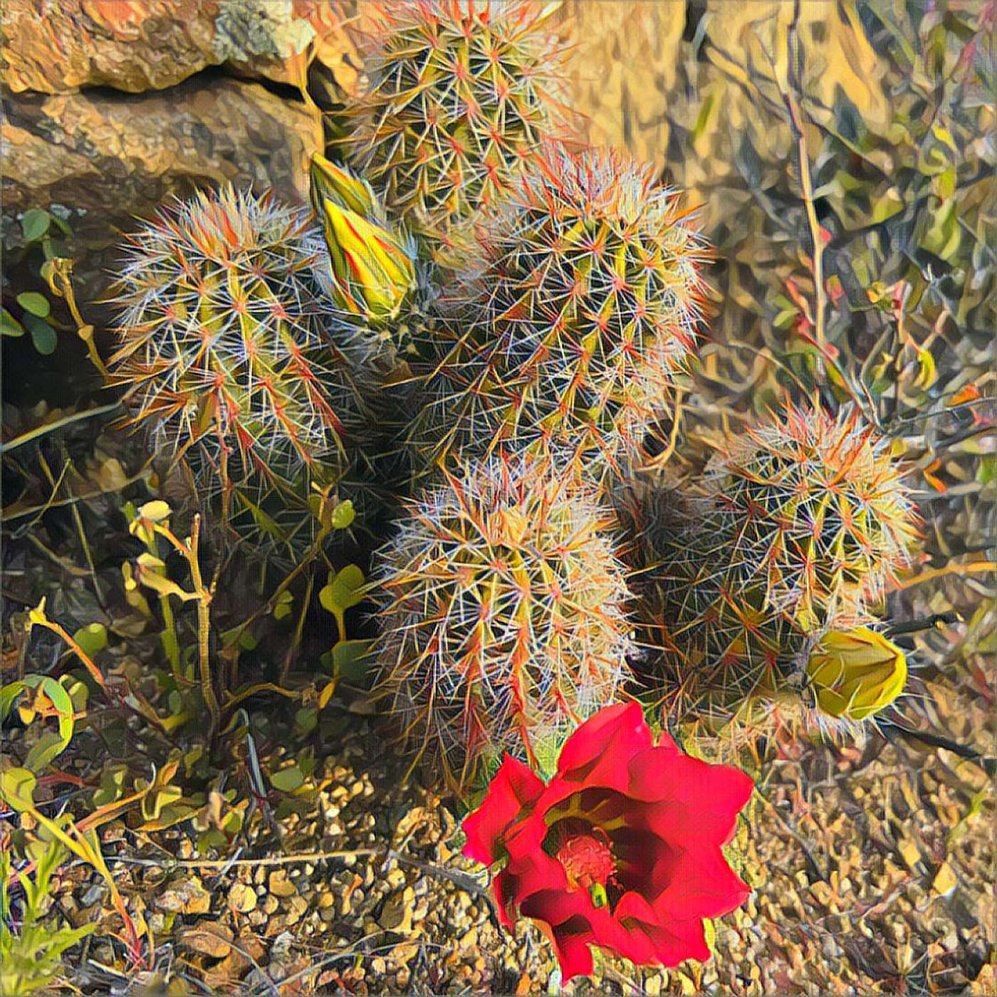 Arizona Trail: Superstition Mountains