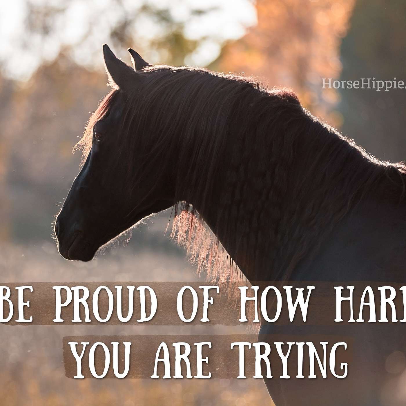 Be Proud of You