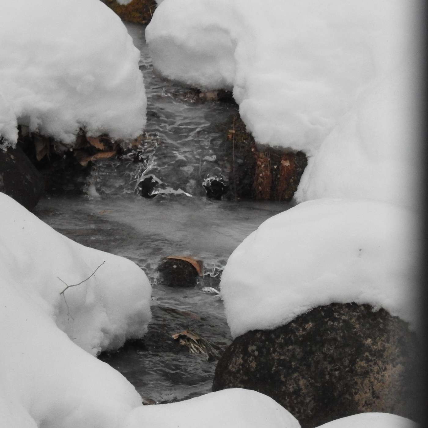 NATURE IS KEEPING WATCH