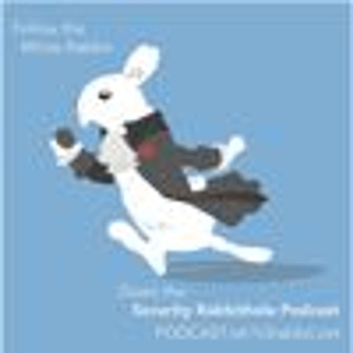 Down the Security Rabbithole Podcast (DtSR)
