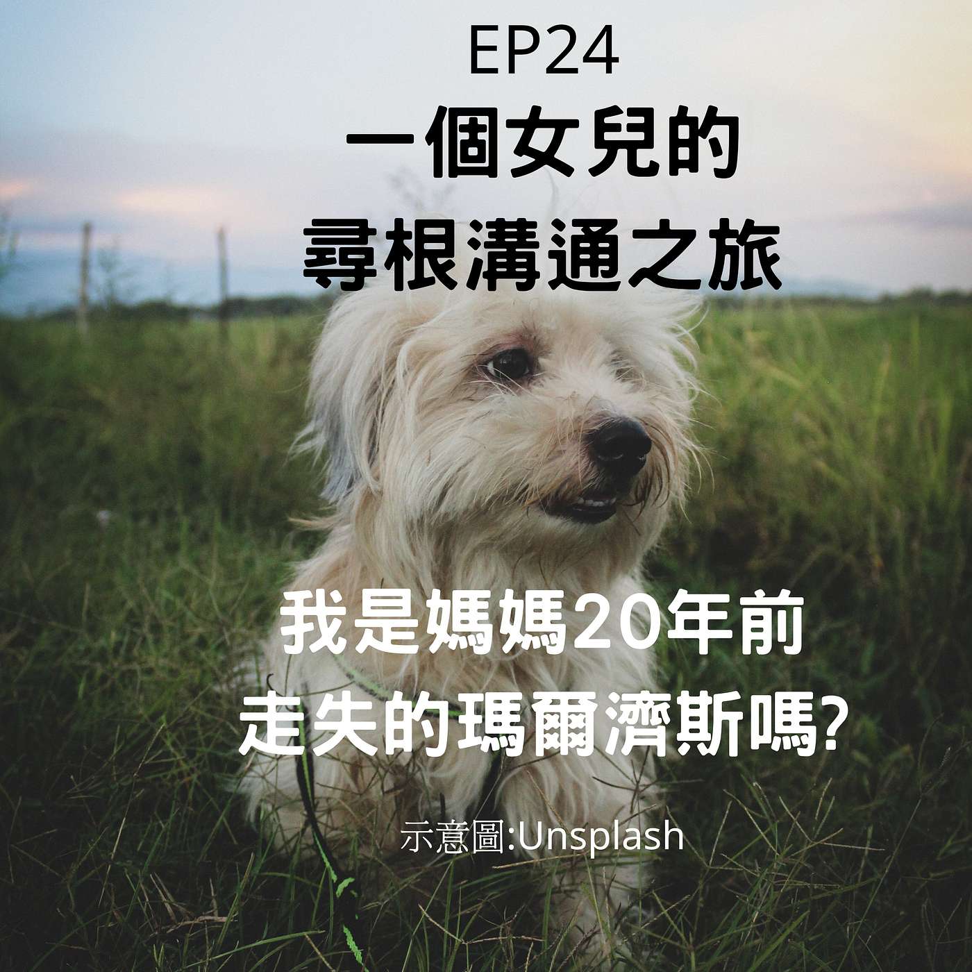 從0到1媒體人X斜槓EP24 再續前緣？！上輩子是媽媽走失20年的瑪爾濟斯？一個女兒的「尋根」溝通之旅 episode artwork