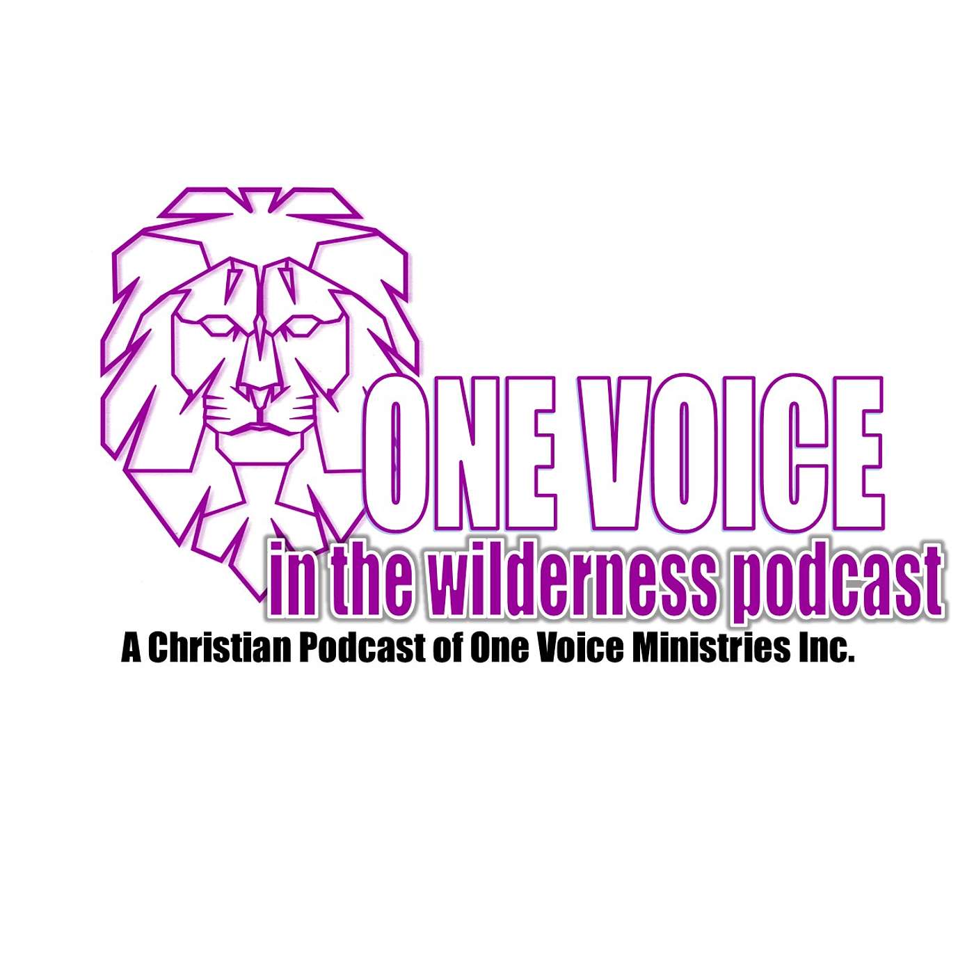 One Voice in the Wilderness podcast artwork