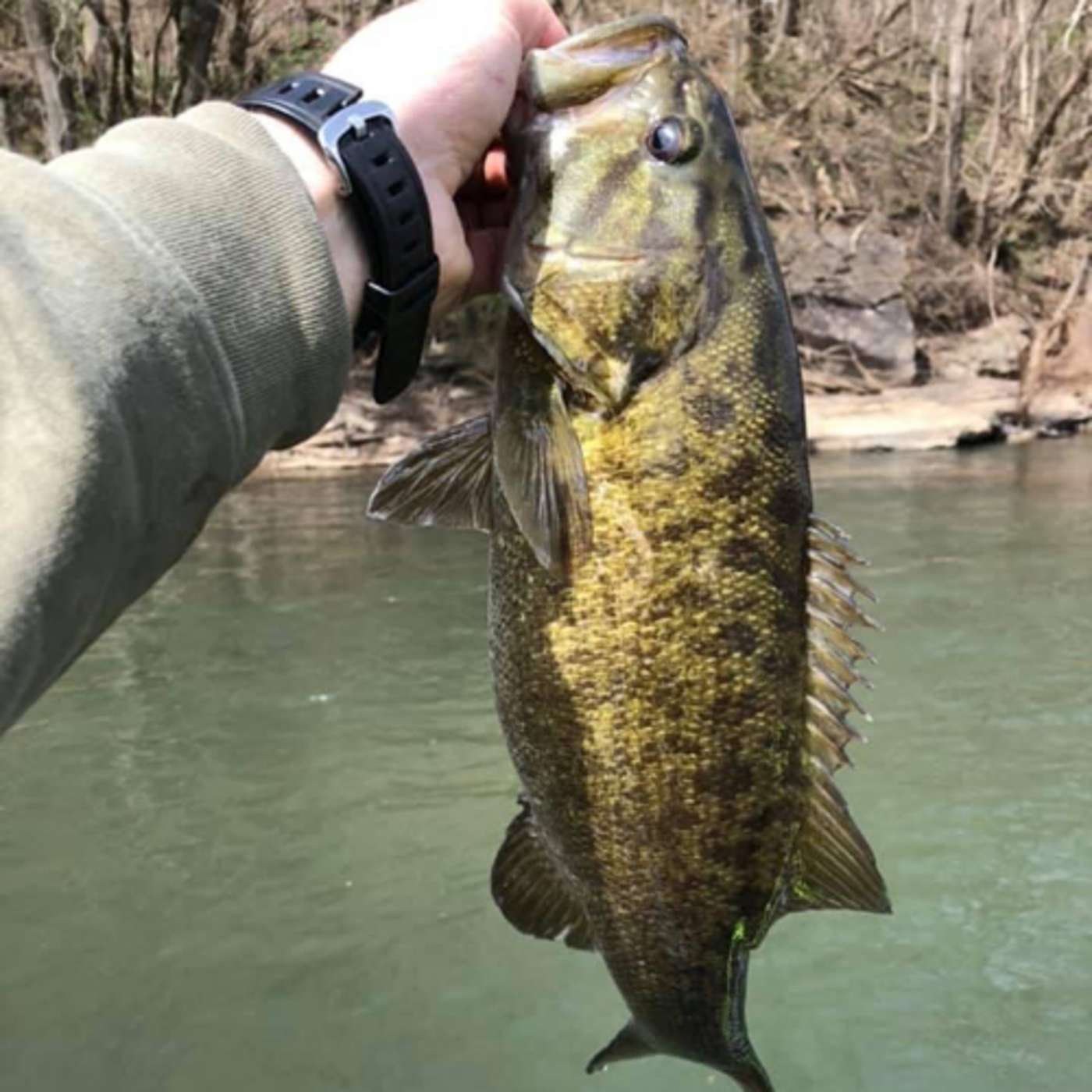 Some Productive Bass Baits of 2020