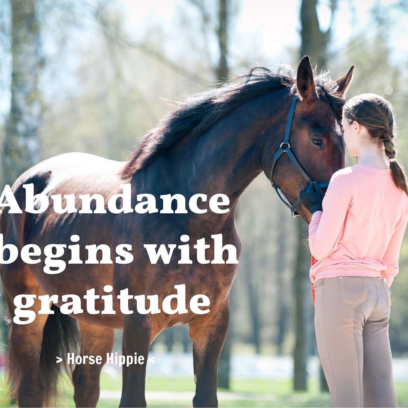 Abundance episode artwork
