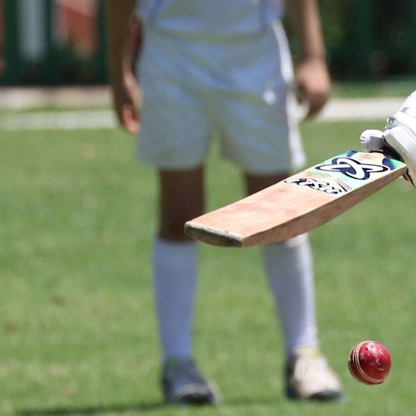 Master Your Game: The Ultimate Guide to Indoor Cricket Nets for Year-Round Practice!