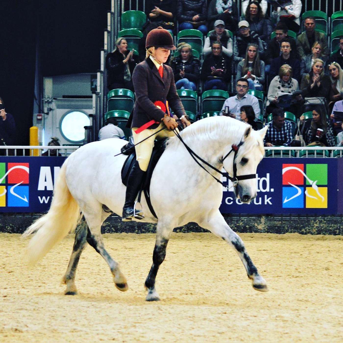 HOYS '22 Riders with Vikki Smith, Vicki Casey and Ciara Mullen episode artwork