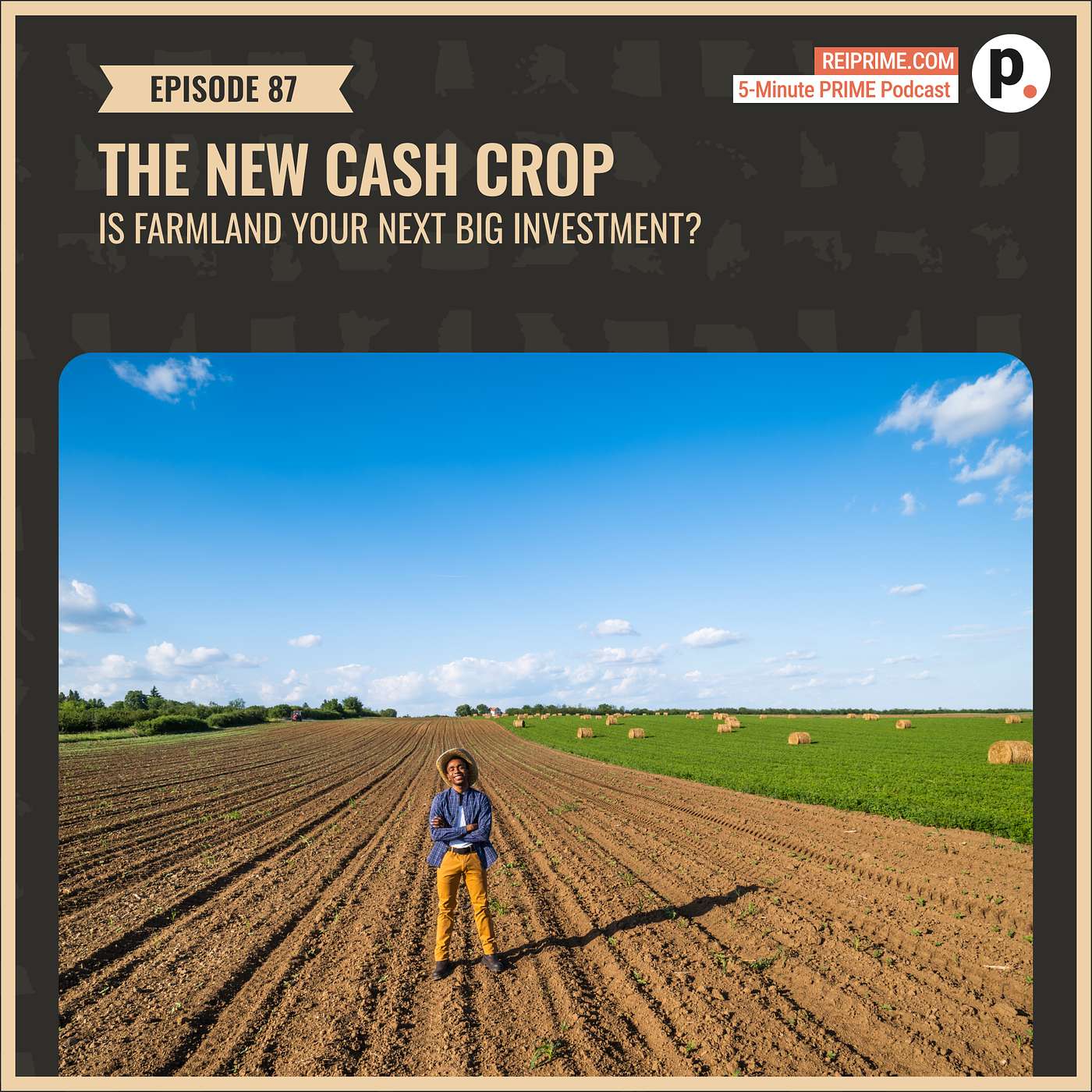 5-Minute PRIME: Bite-Sized Investing Insights