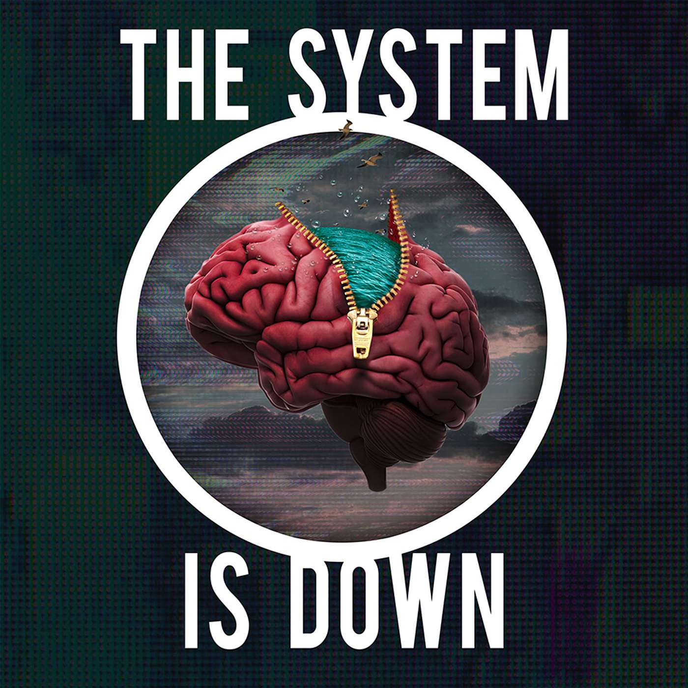 The System is Down with Dan Smotz