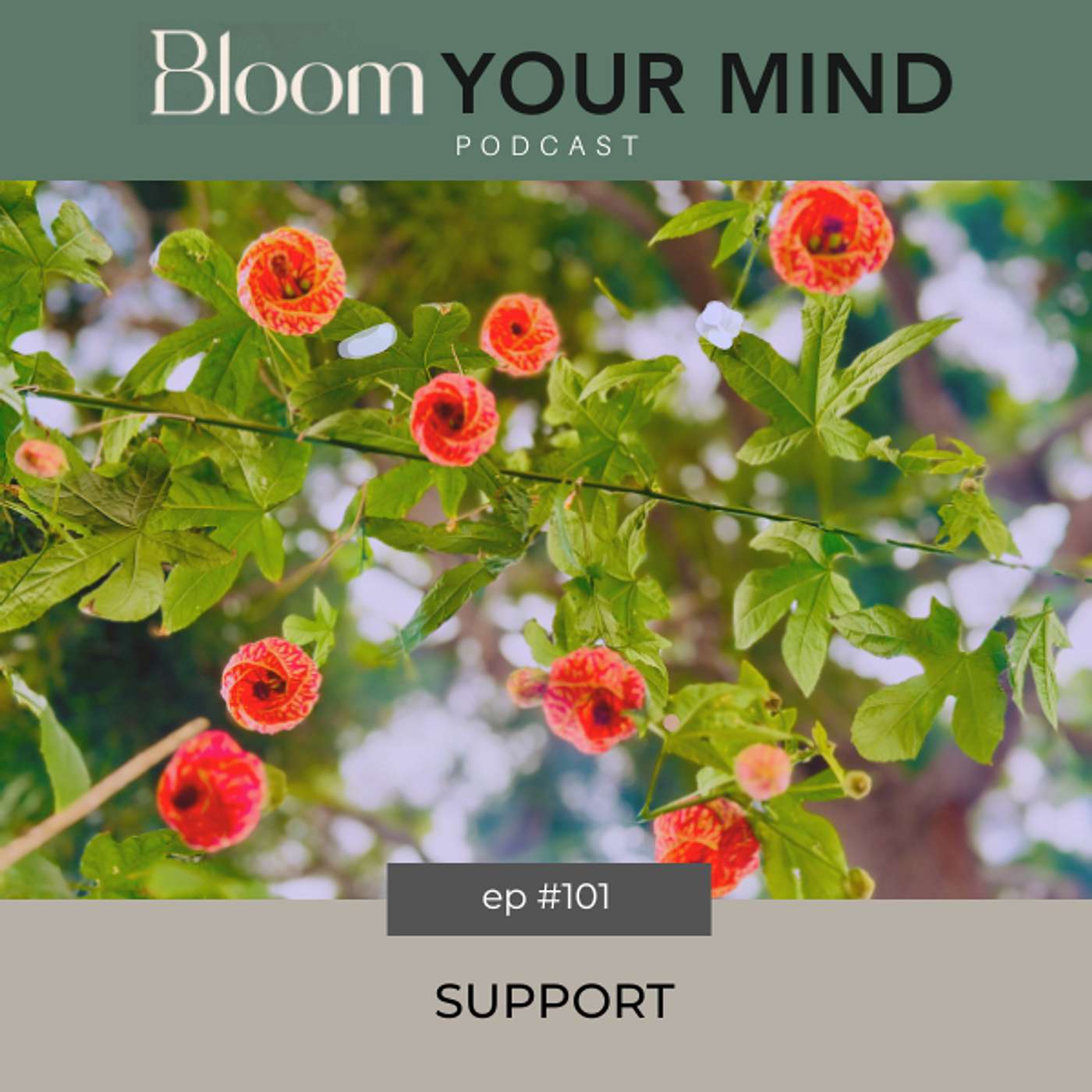 Ep 101: Support