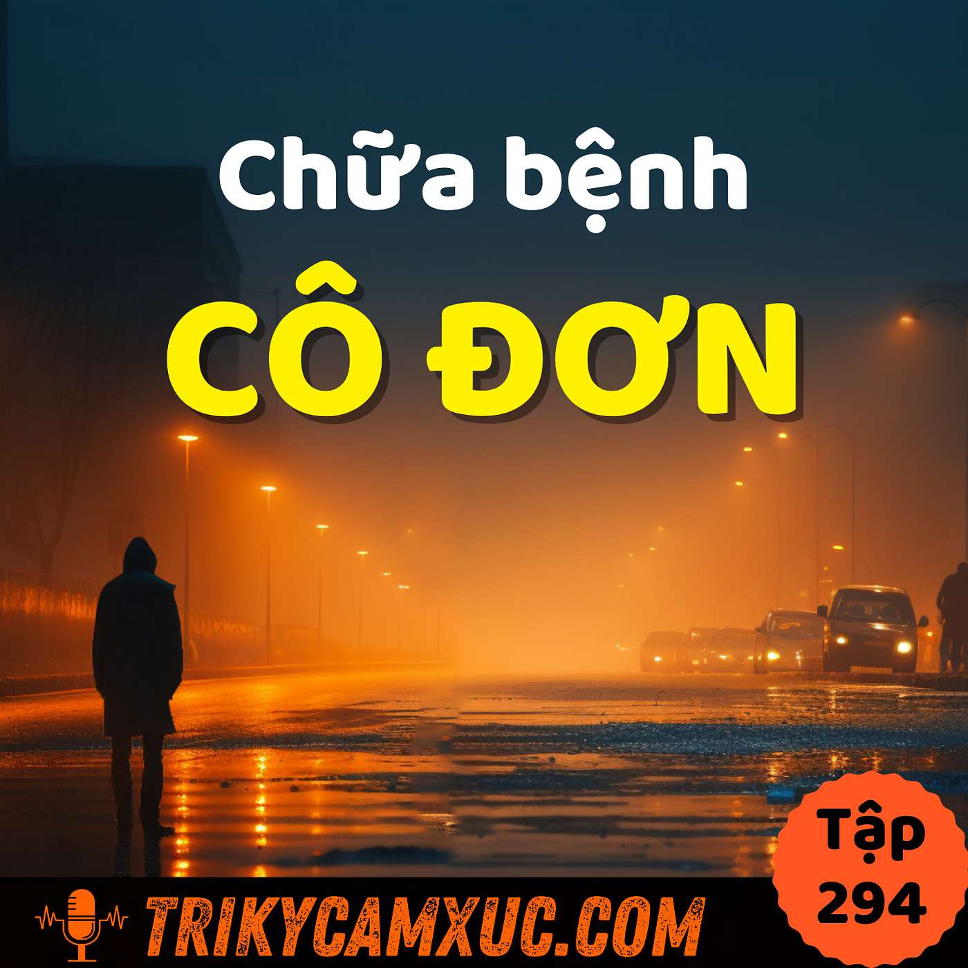 Chữa Triệt Để Bệnh Cô Đơn - Tri Kỷ Cảm Xúc #294