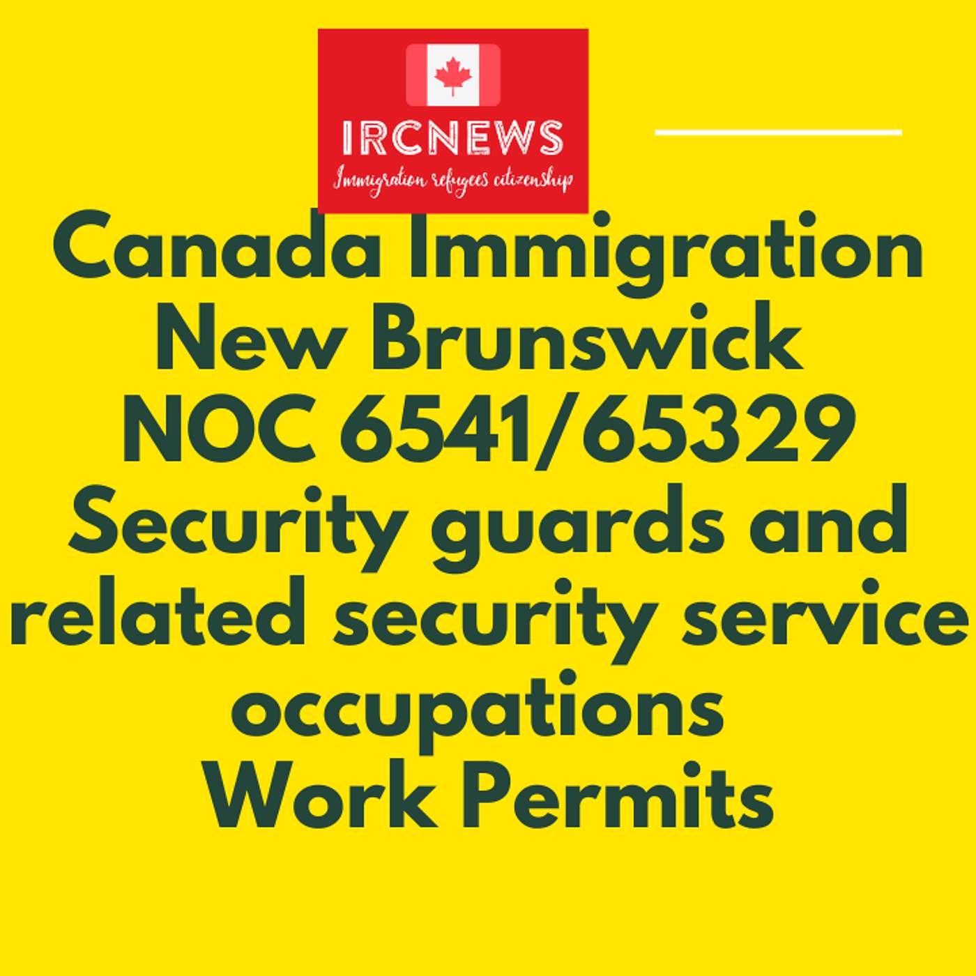 Canada Immigration New Brunswick NOC 6541/65329 Security guards and related security service occupations Work Permits episode artwork